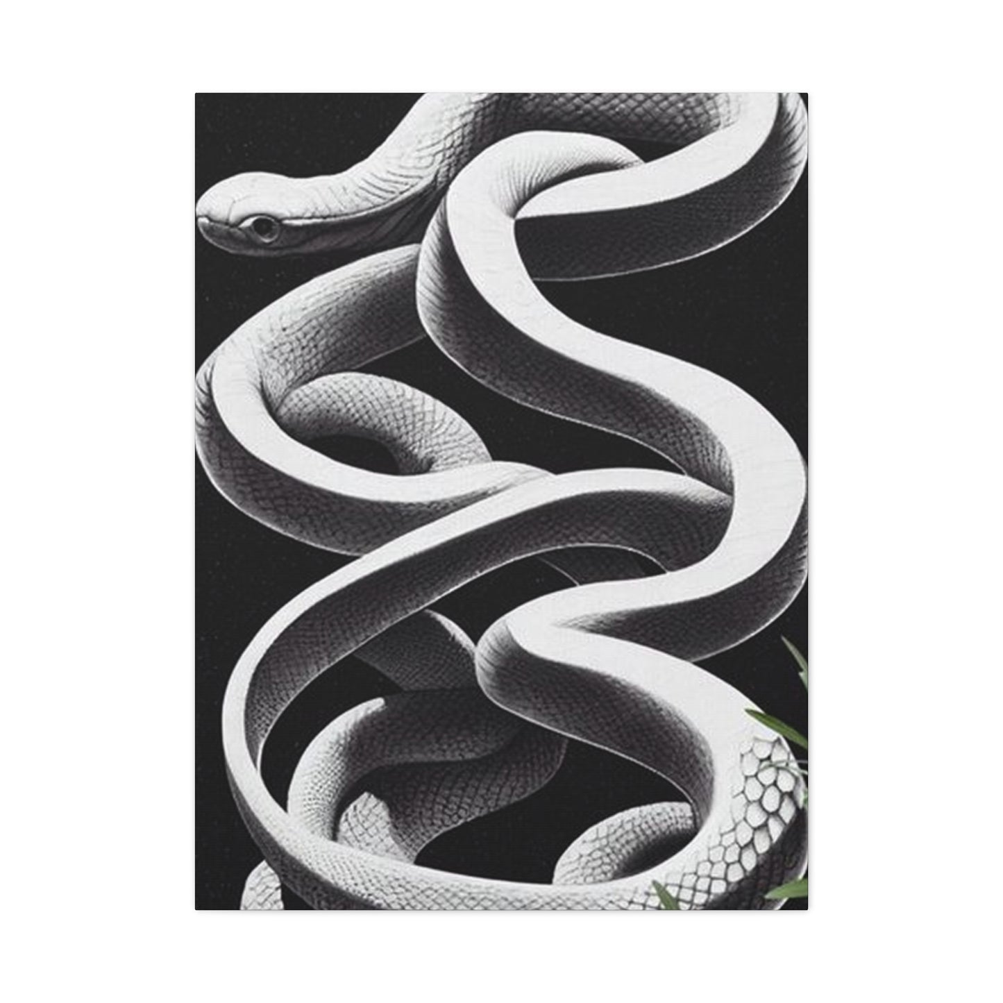 White Snake On Black Poster Wall Art & Canvas Prints