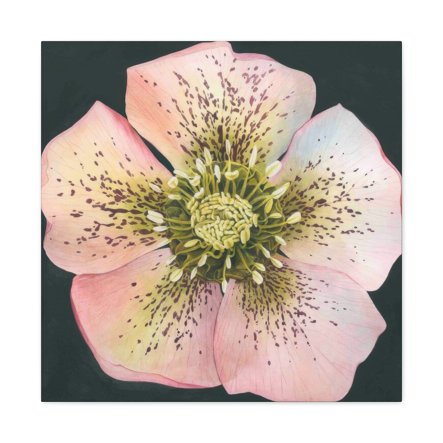 Grace Popp Flower Head Wall Art & Canvas Prints