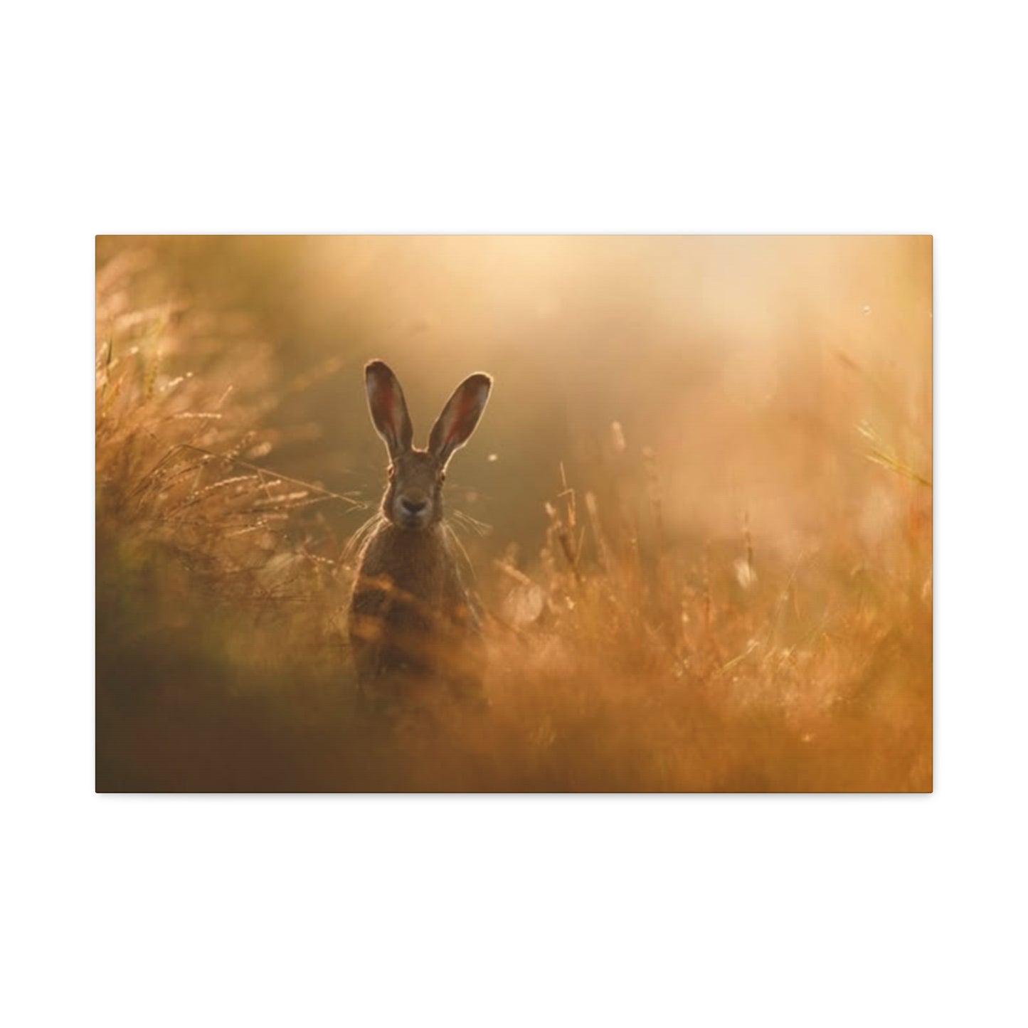 Long Ear Brown Bunny Wall Art & Canvas Prints