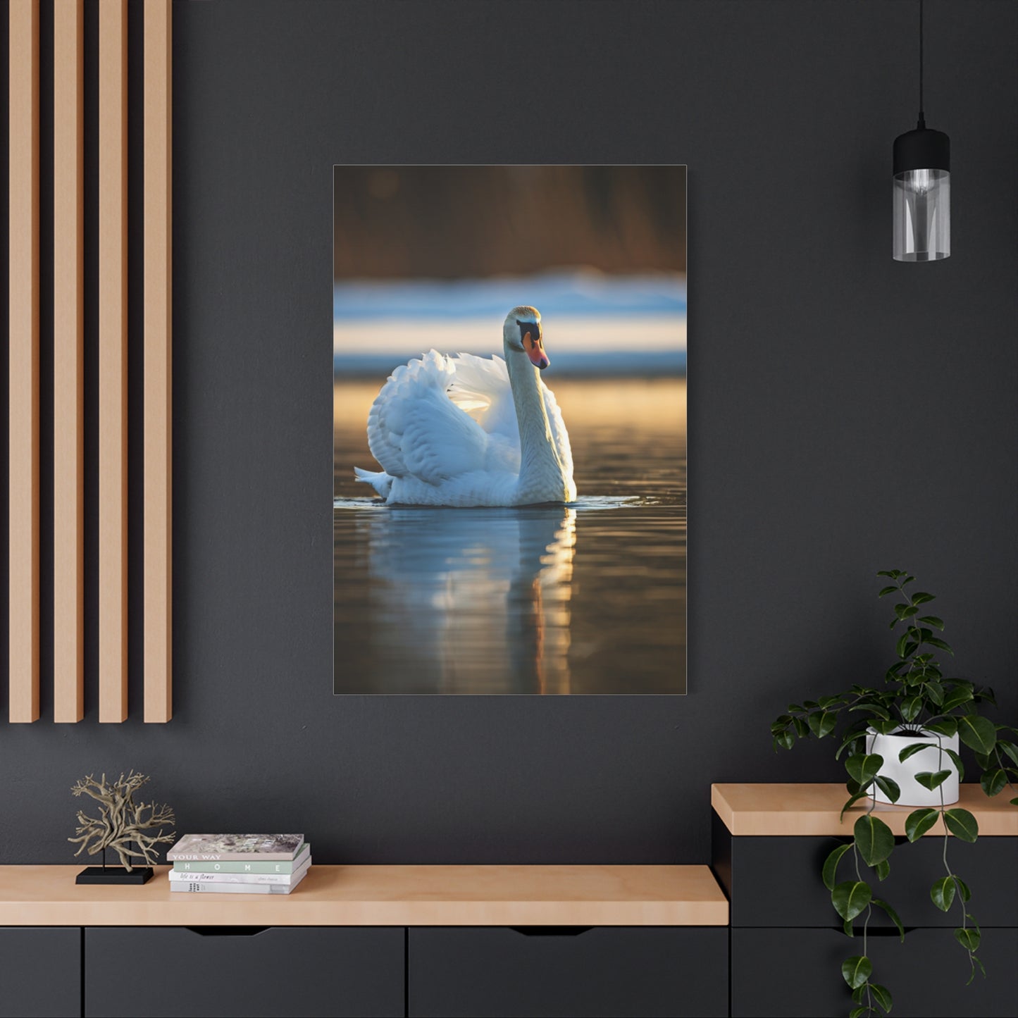 Swan on Still Water Wall Art & Canvas Prints