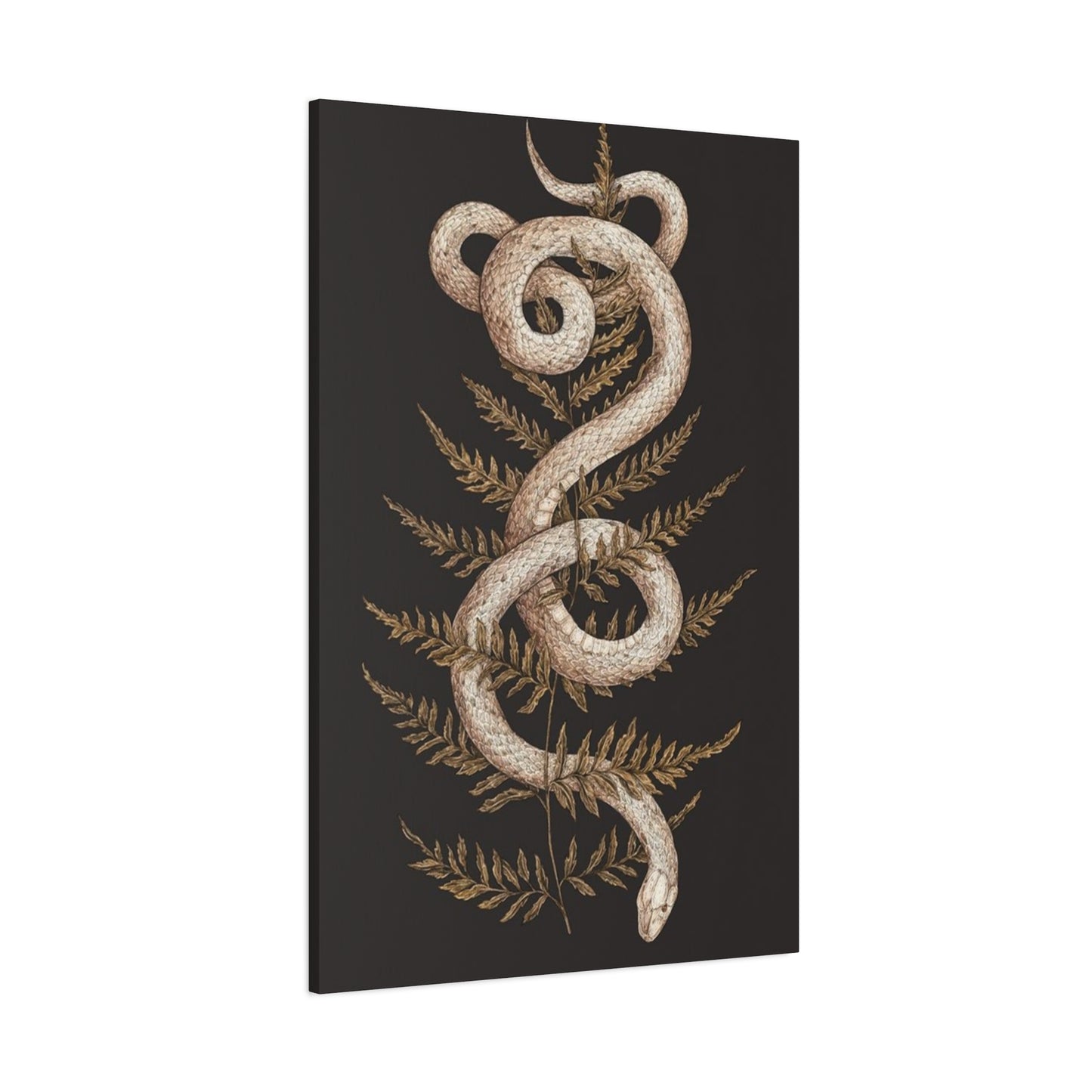 White Snake Wall Art & Canvas Prints