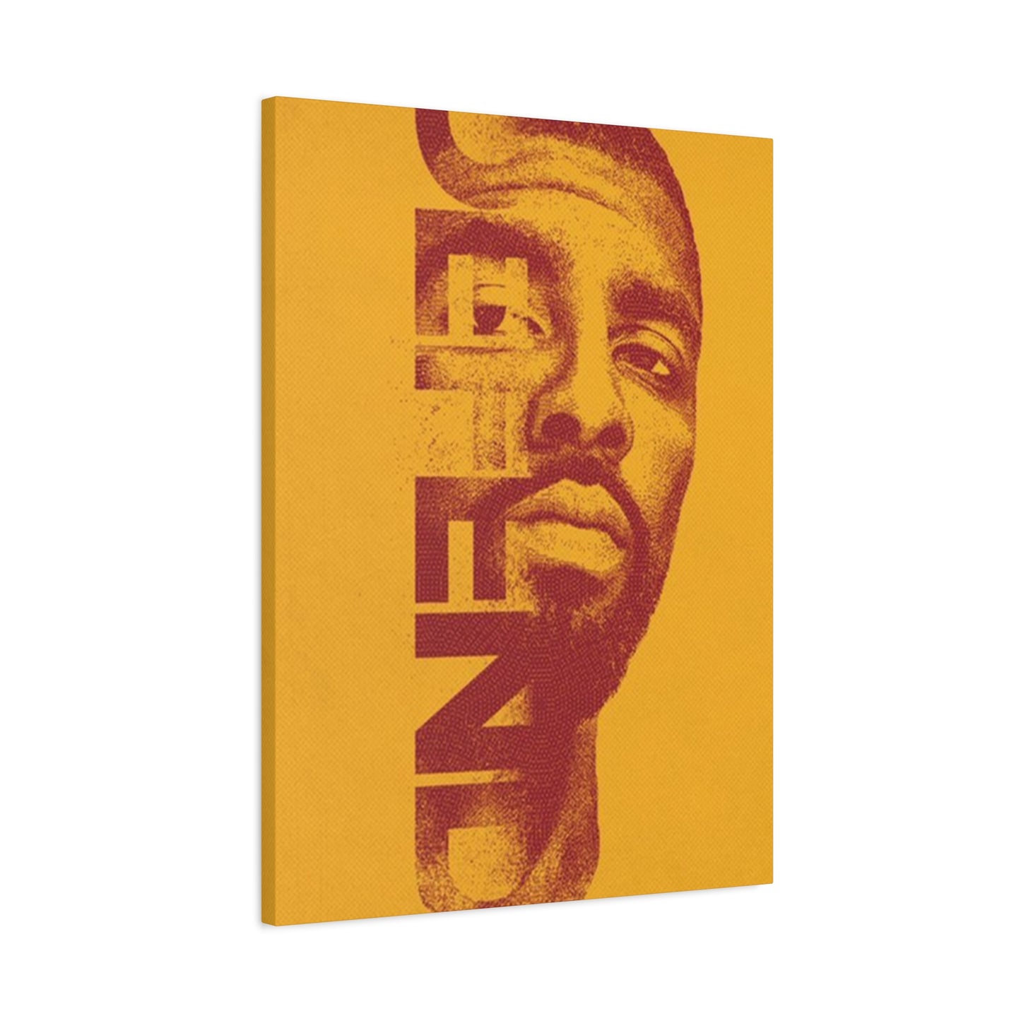 Defend Poster Wall Art & Canvas Prints