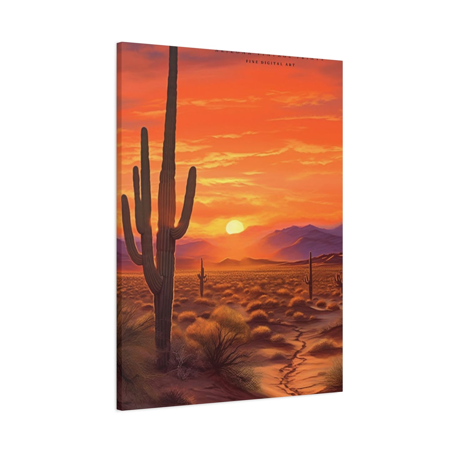 Abstract Arizona Cactus Sunset Wall Art & Canvas Prints