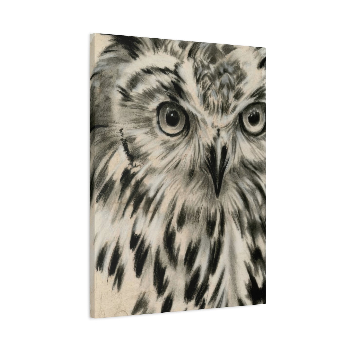 Jennifer Paxton Parker Charcoal Owl Wall Art & Canvas Prints