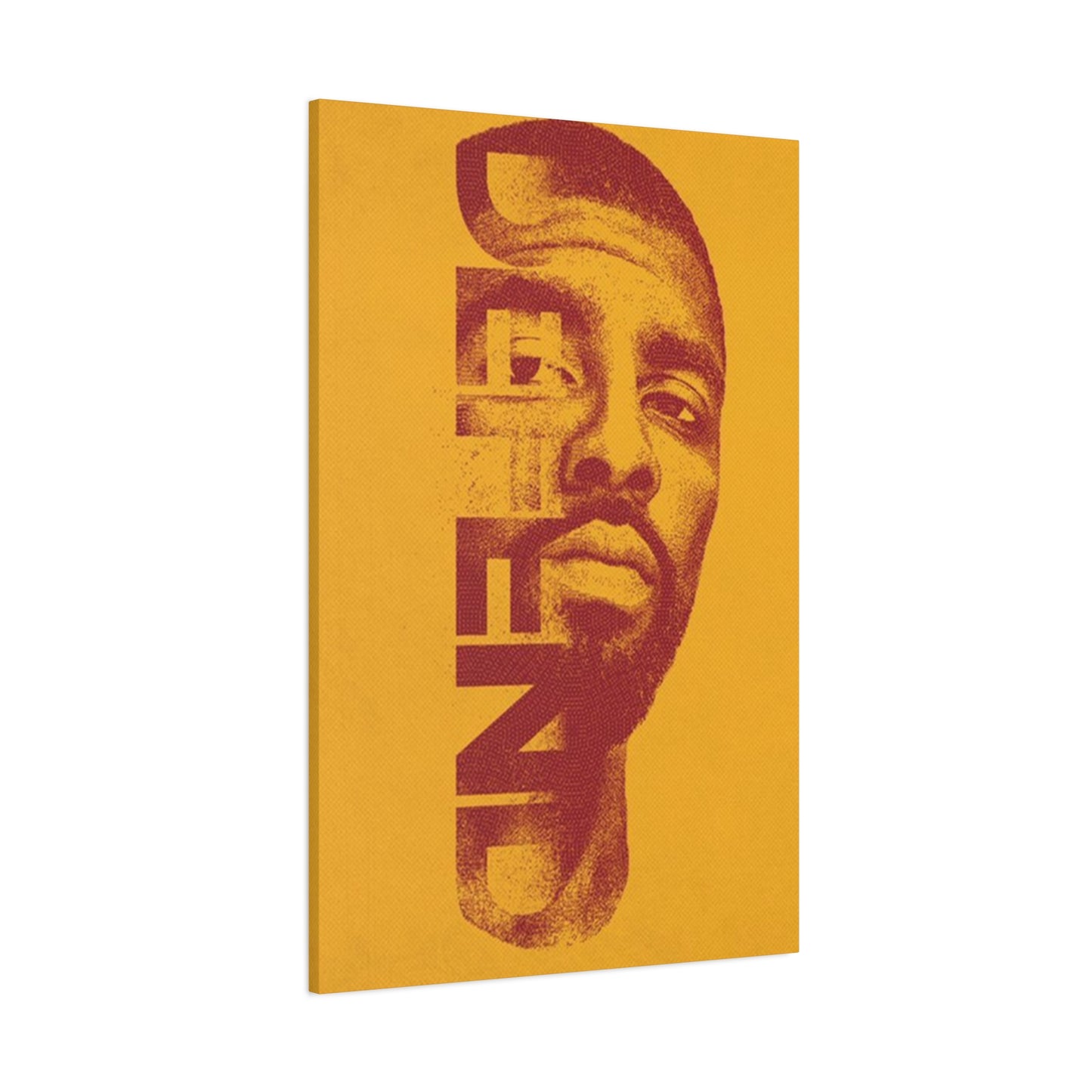 Defend Poster Wall Art & Canvas Prints