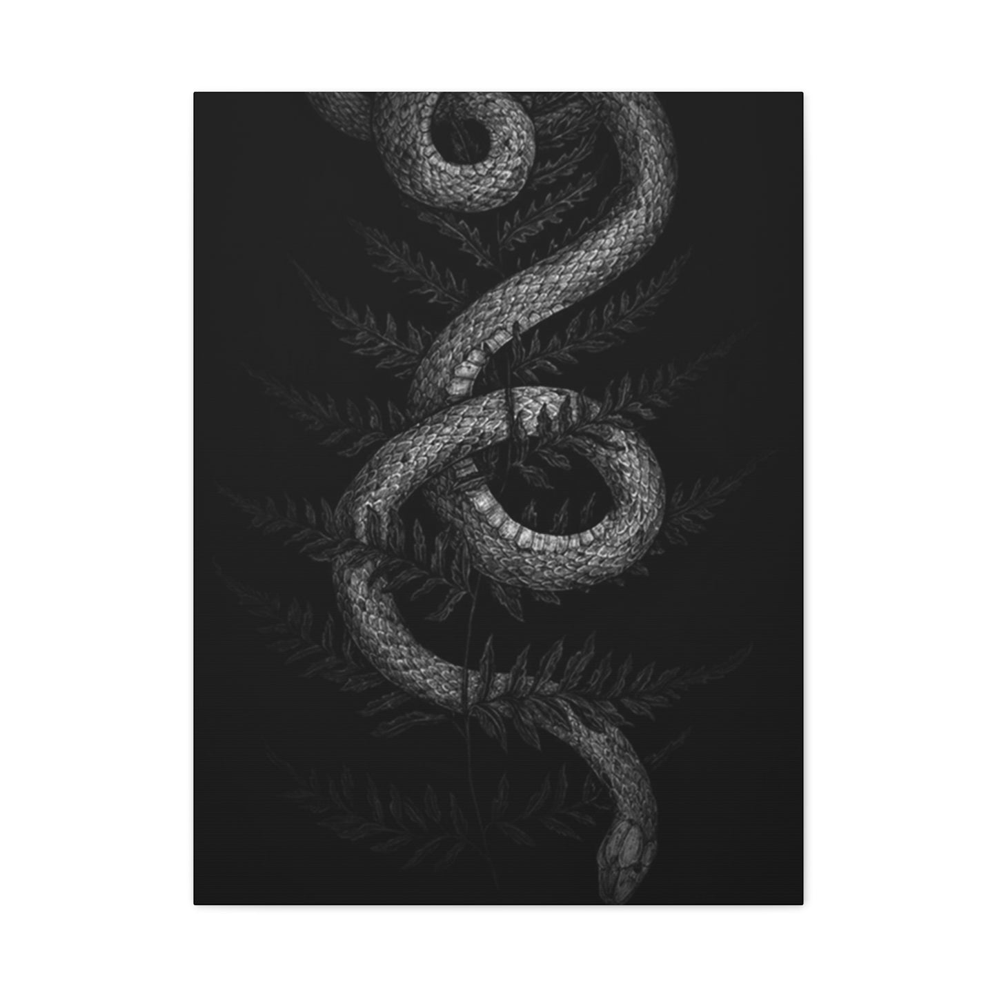 White Cobra Wall Art & Canvas Prints