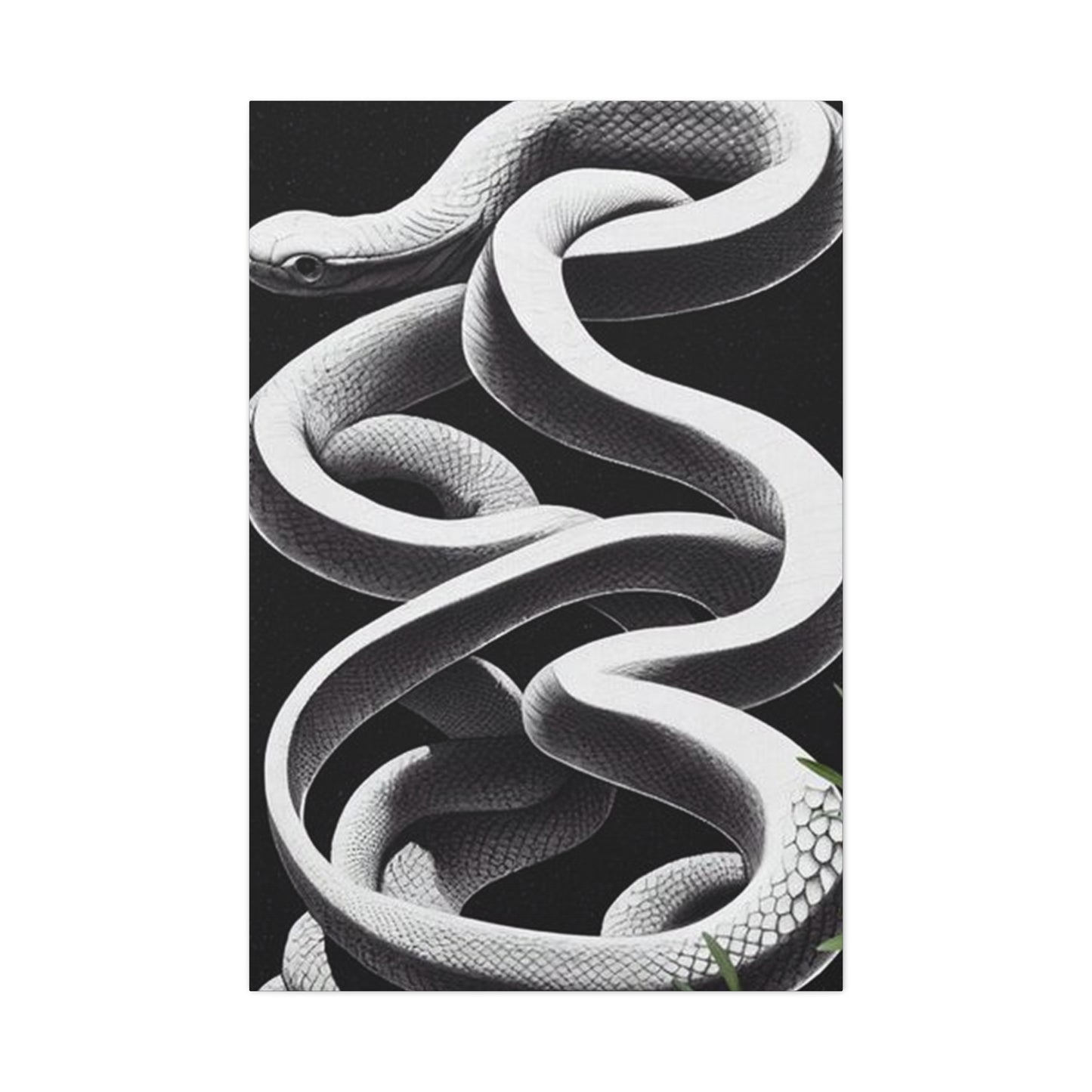 White Snake On Black Poster Wall Art & Canvas Prints
