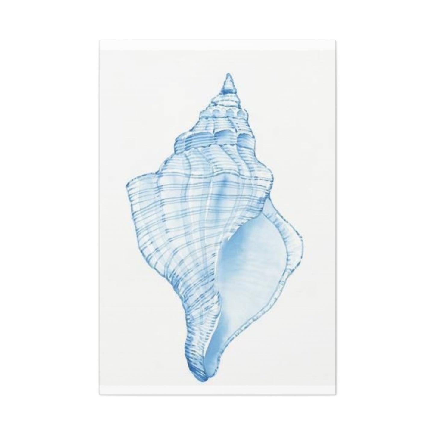 Blue Shell Drawing Wall Art & Canvas Prints