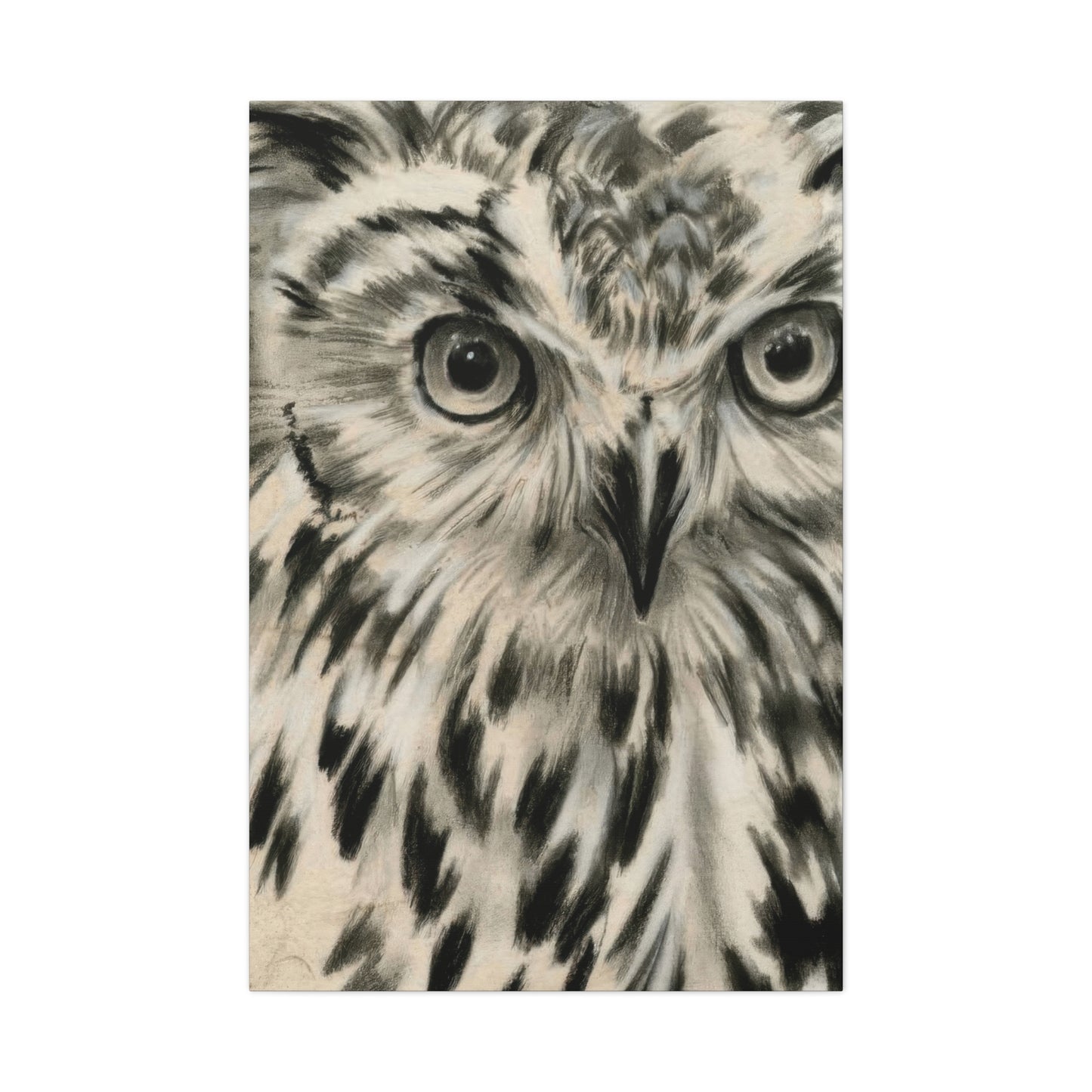 Jennifer Paxton Parker Charcoal Owl Wall Art & Canvas Prints