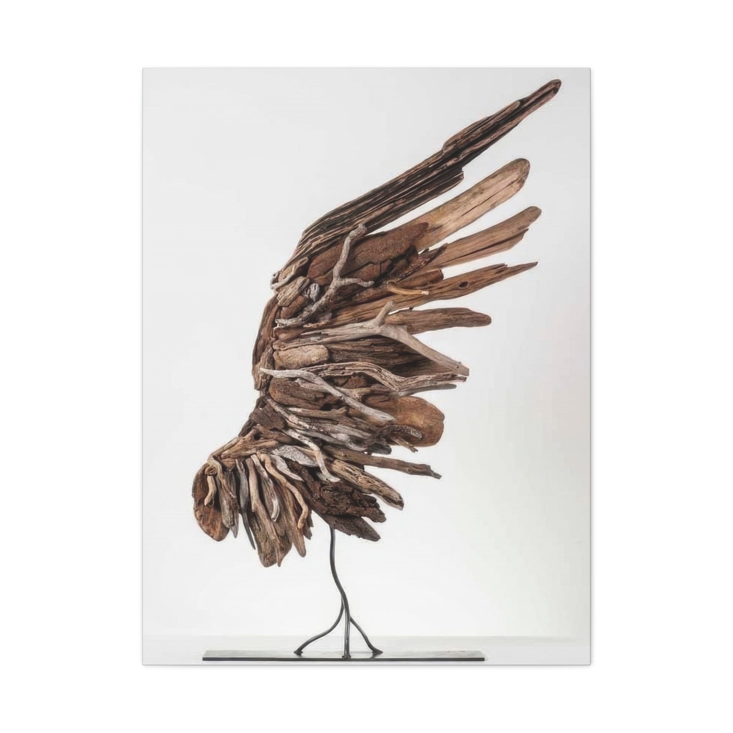 Driftwood Wing Wall Art & Canvas Prints