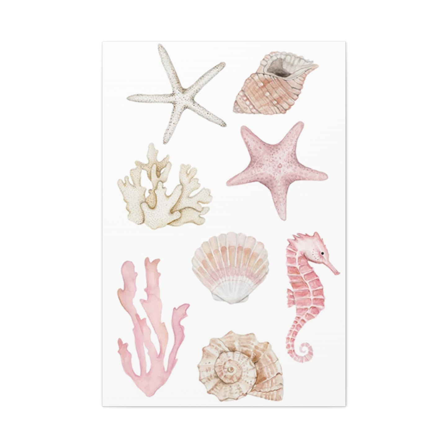 Beautiful Pink Shell Shape Poster Wall Art & Canvas Prints