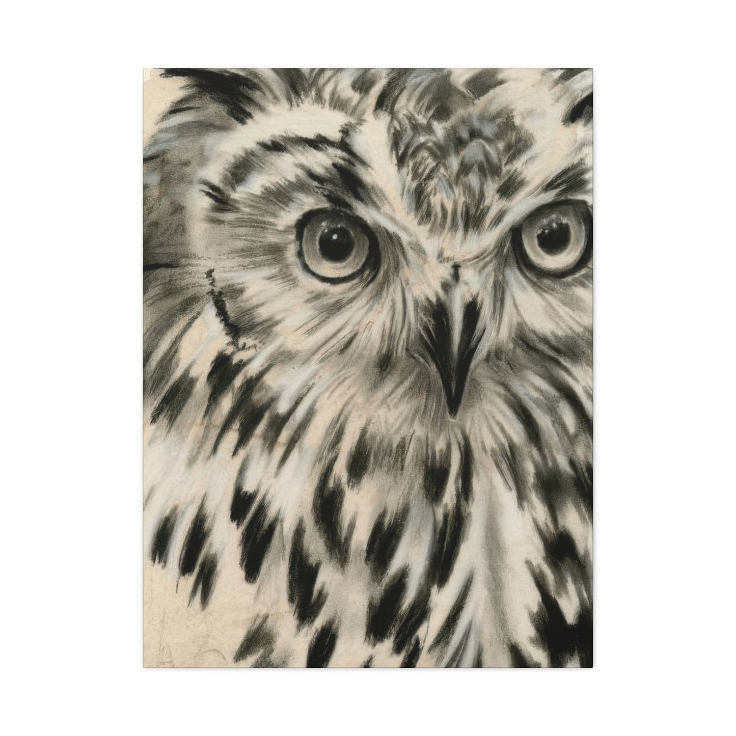Jennifer Paxton Parker Charcoal Owl Wall Art & Canvas Prints