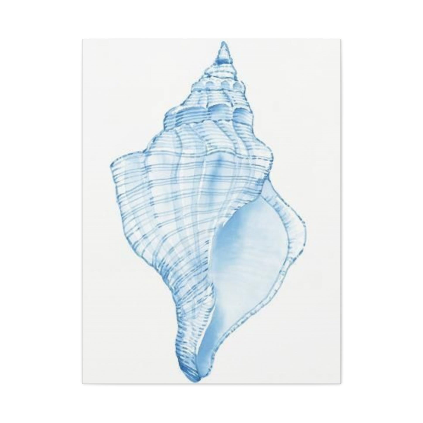 Blue Shell Drawing Wall Art & Canvas Prints