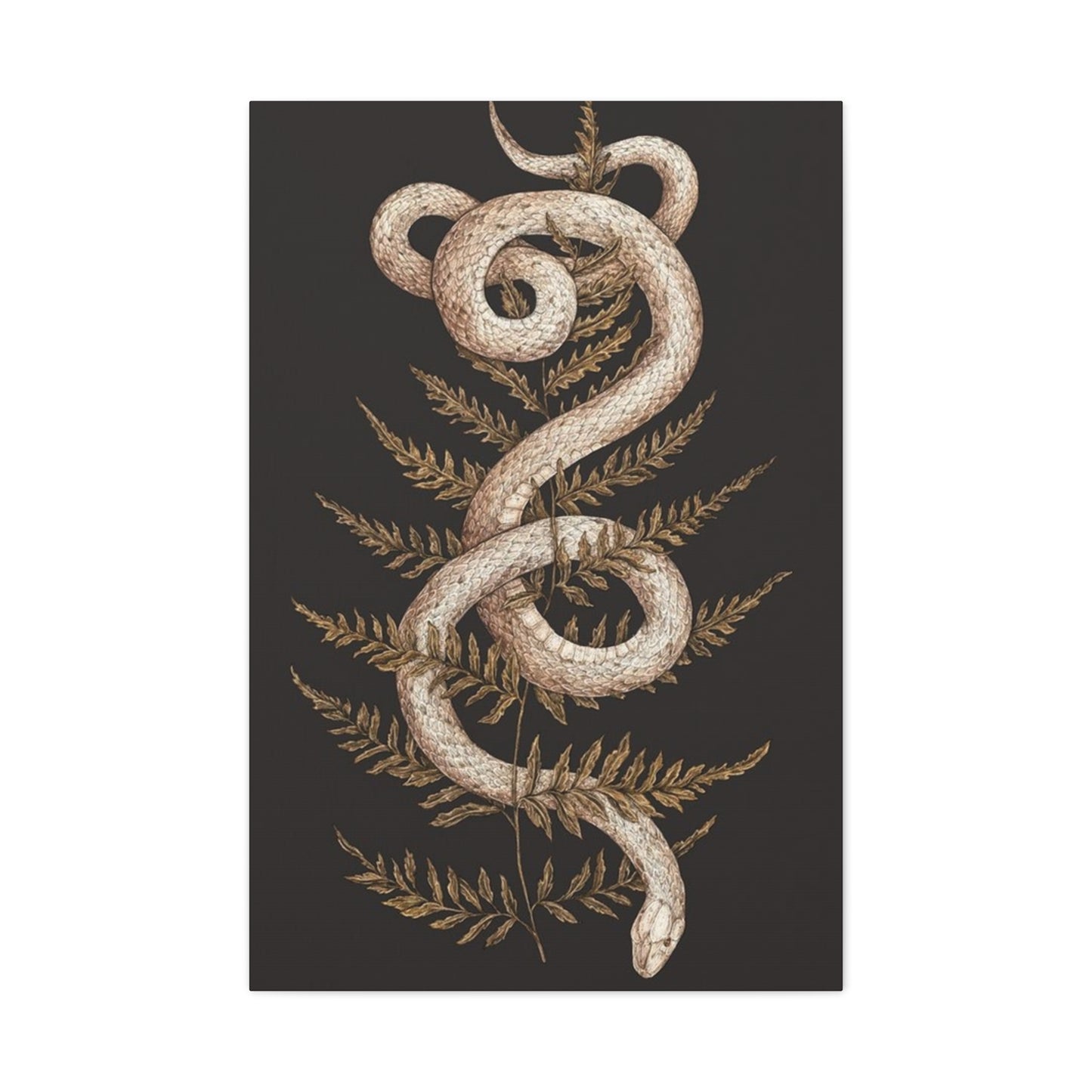 White Snake Wall Art & Canvas Prints