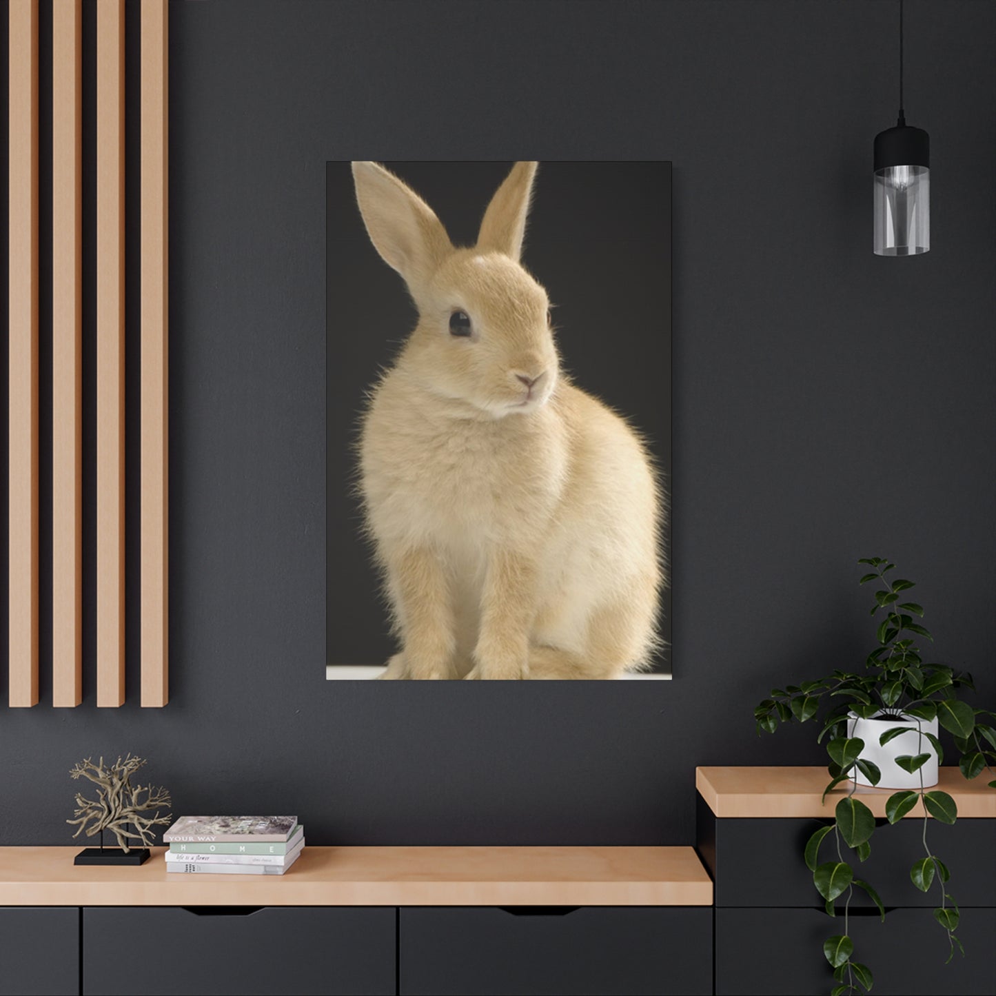 Small White Rabbit Wall Art & Canvas Prints