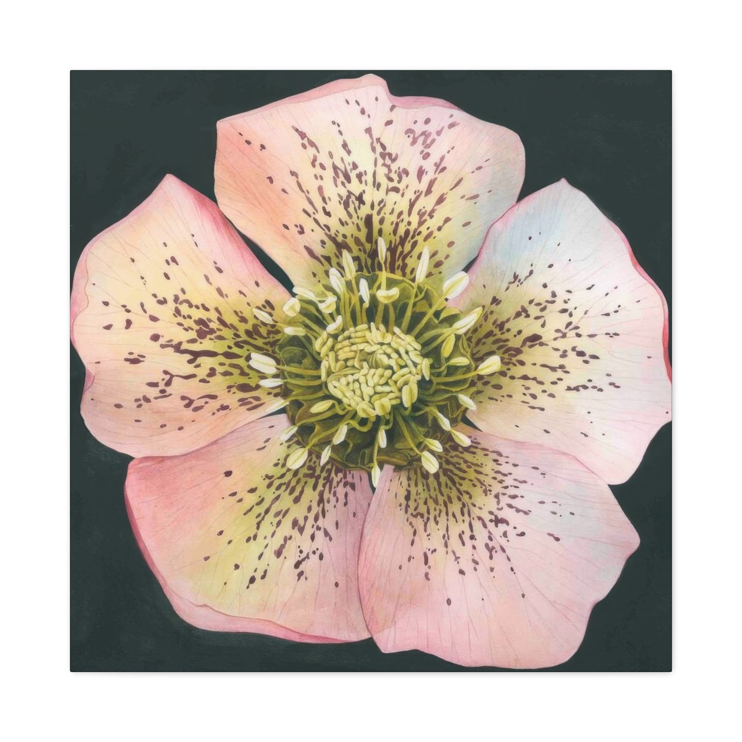 Grace Popp Flower Head Wall Art & Canvas Prints