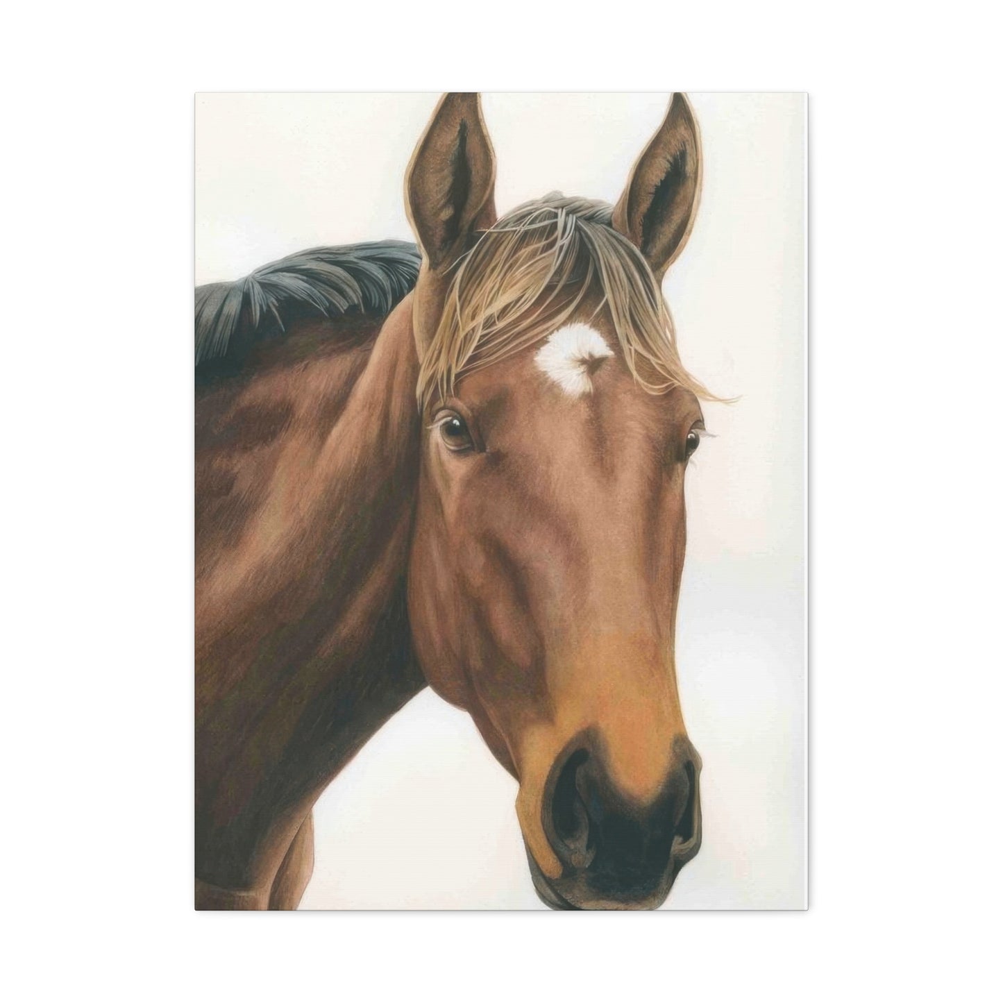 Grace Popp Maisie Horse Wall Art & Canvas Prints