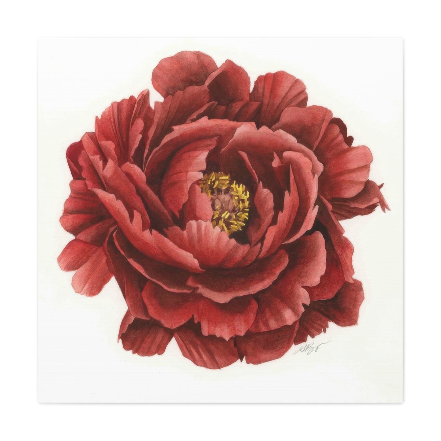 Grace Popp Red Flower Head Wall Art & Canvas Prints