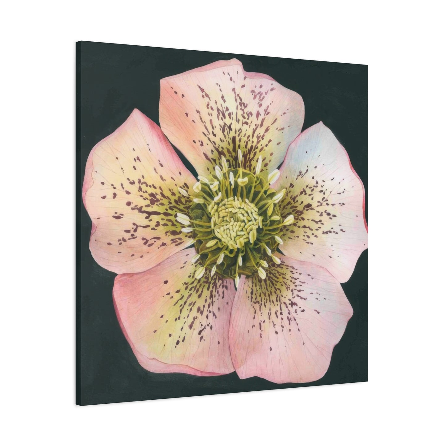 Grace Popp Flower Head Wall Art & Canvas Prints