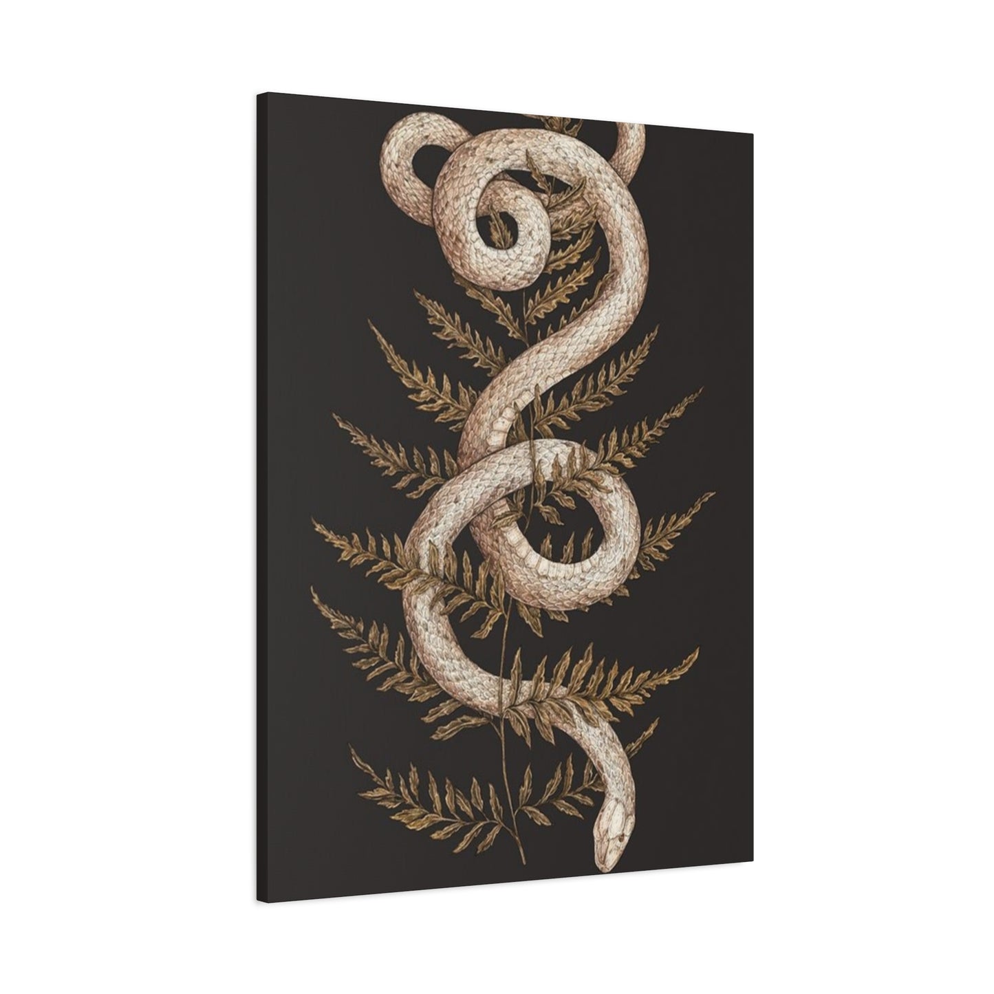 White Snake Wall Art & Canvas Prints