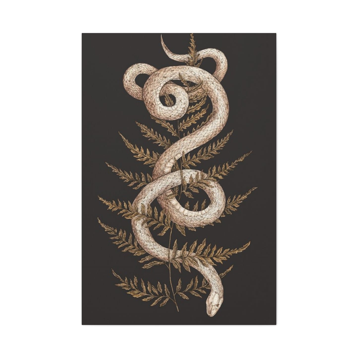 White Snake Wall Art & Canvas Prints