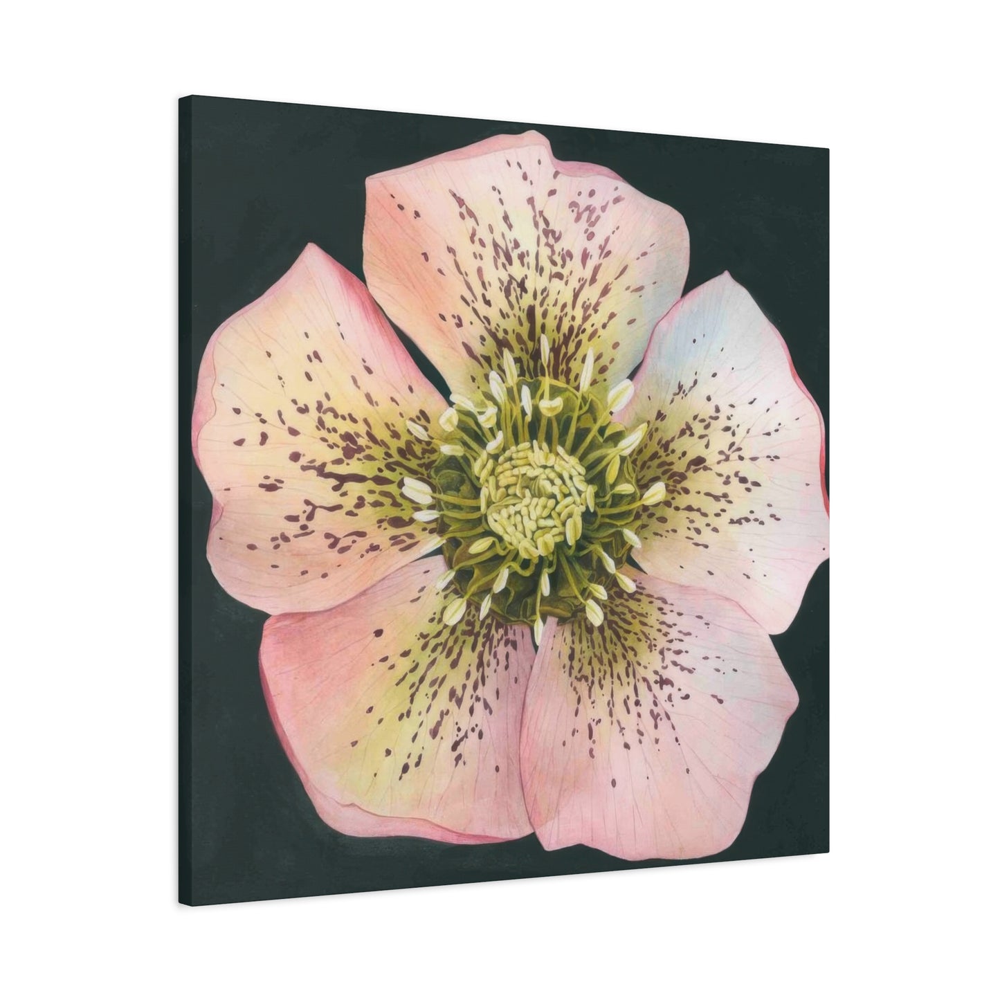 Grace Popp Flower Head Wall Art & Canvas Prints
