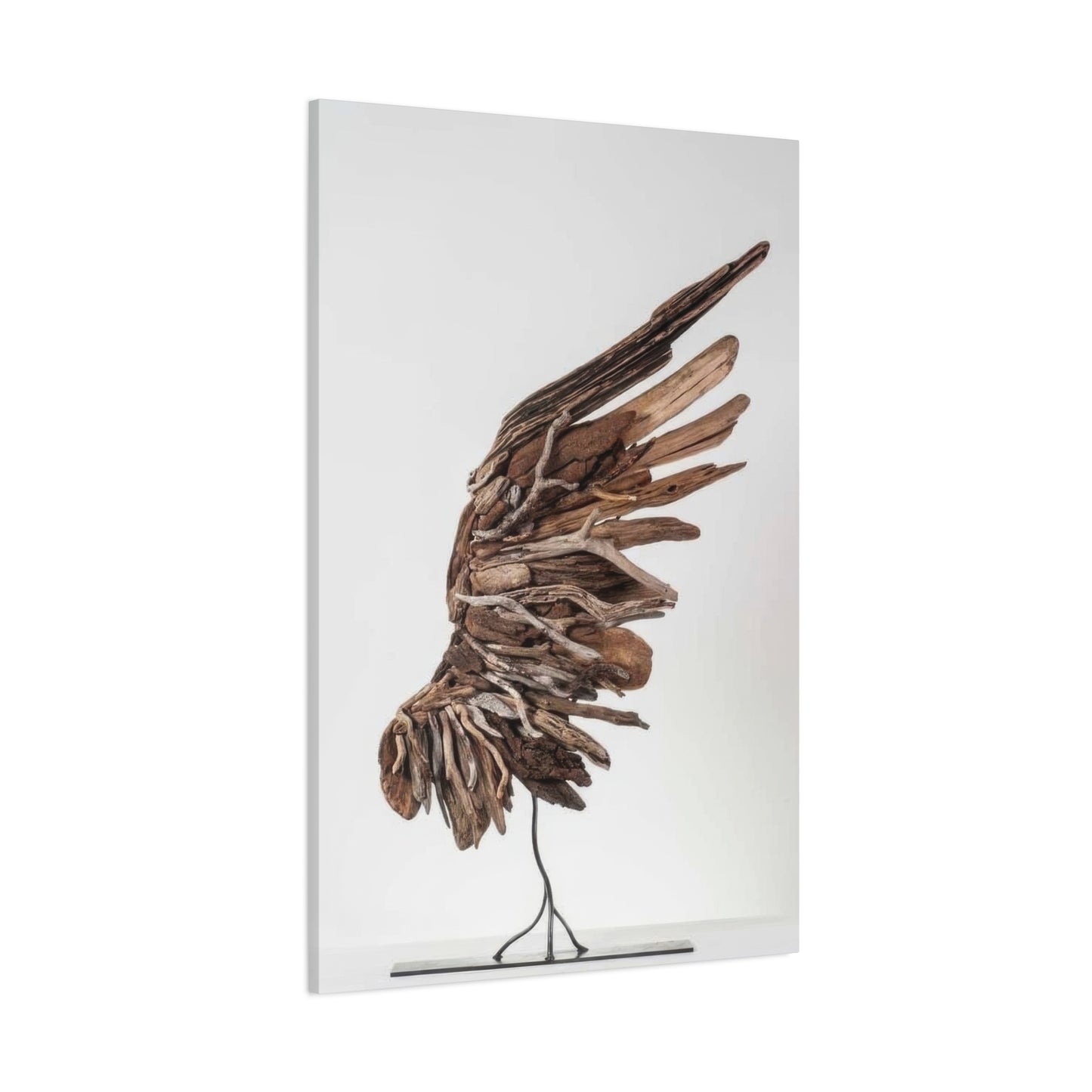 Driftwood Wing Wall Art & Canvas Prints