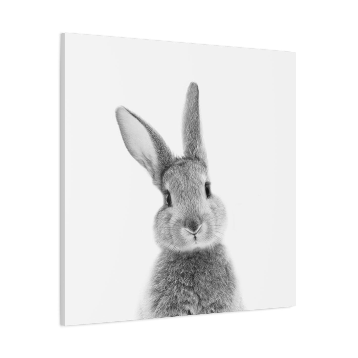 Black And White Rabbit Wall Art & Canvas Prints