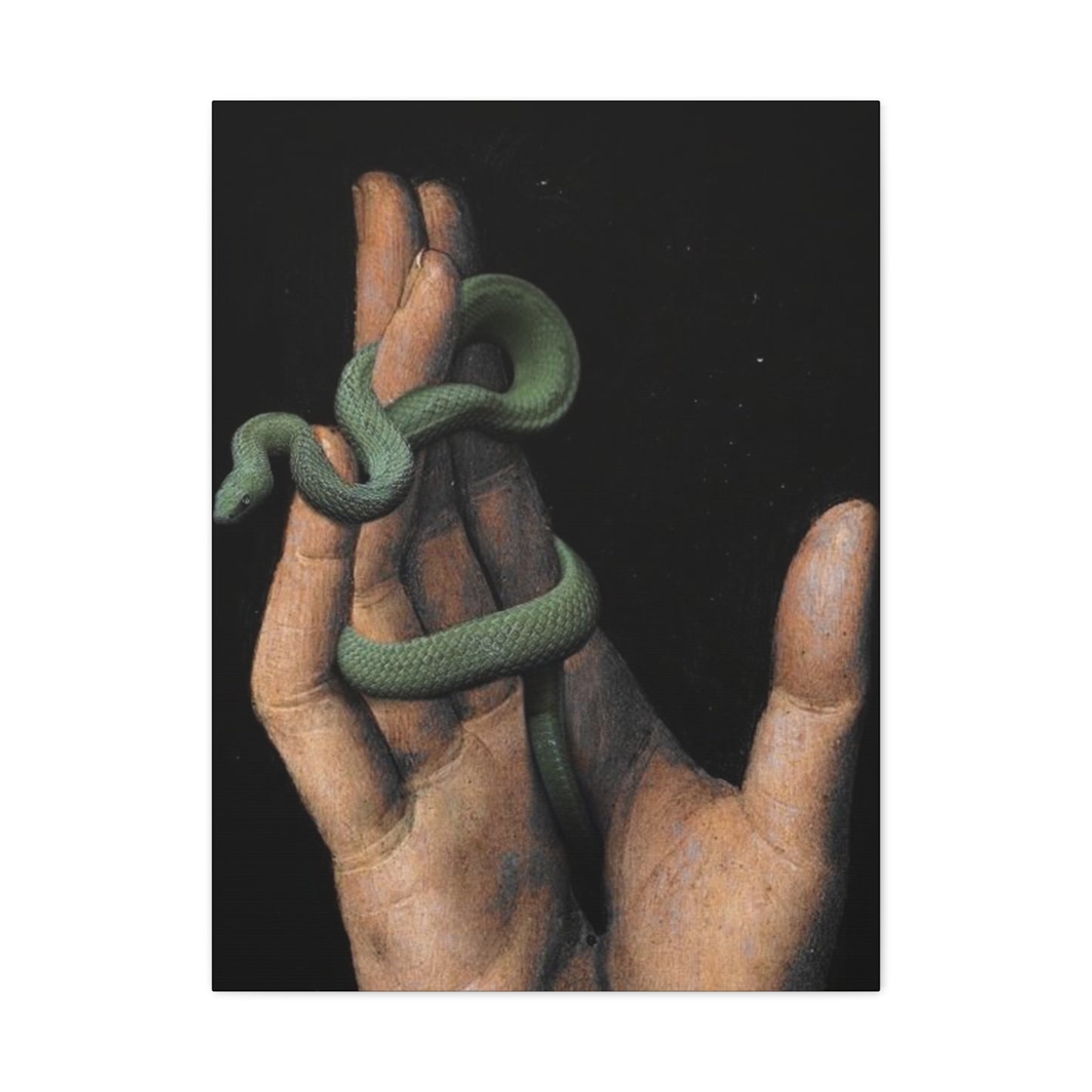 Snake On Hand Wall Art & Canvas Prints