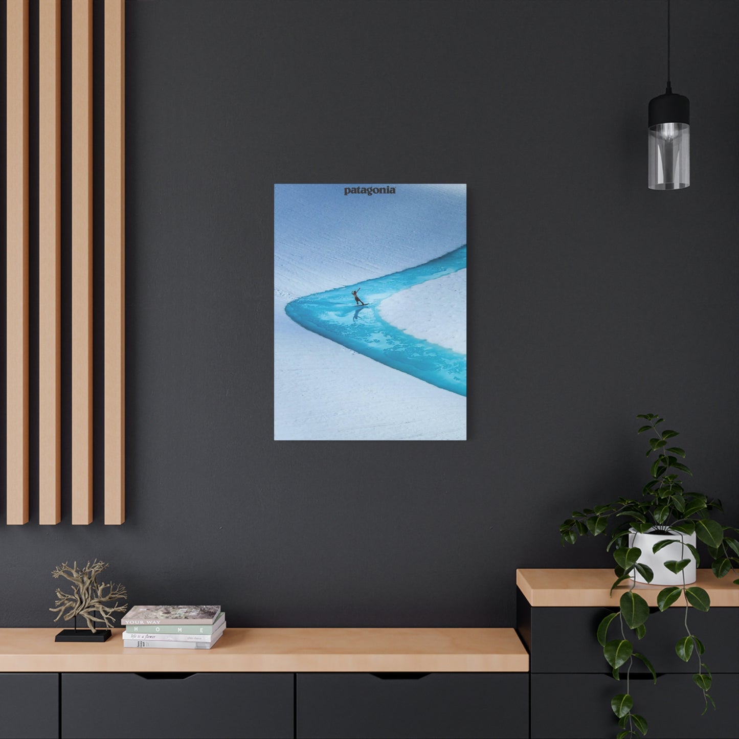 Patagonia River Skiing Wall Art & Canvas Prints