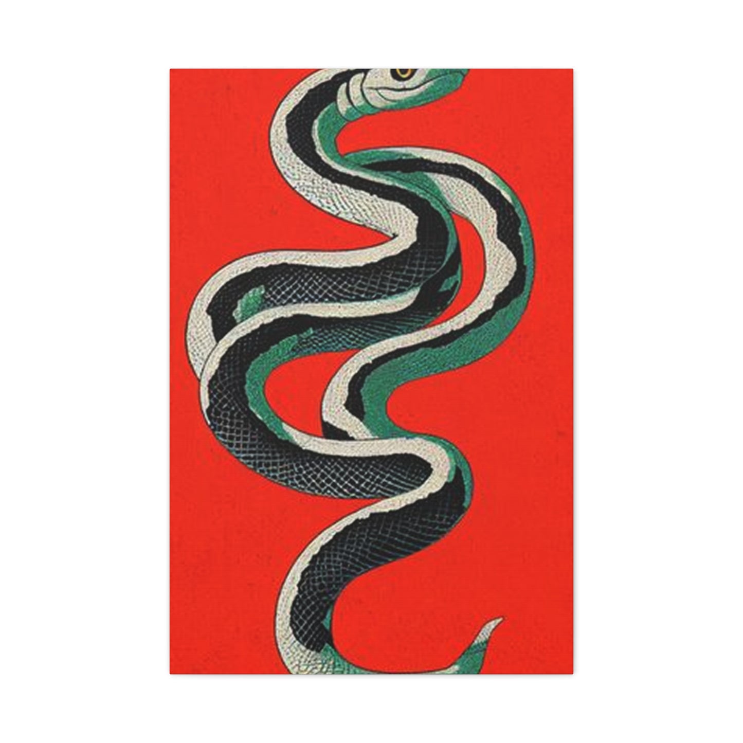 Snake's Wall Art & Canvas Prints