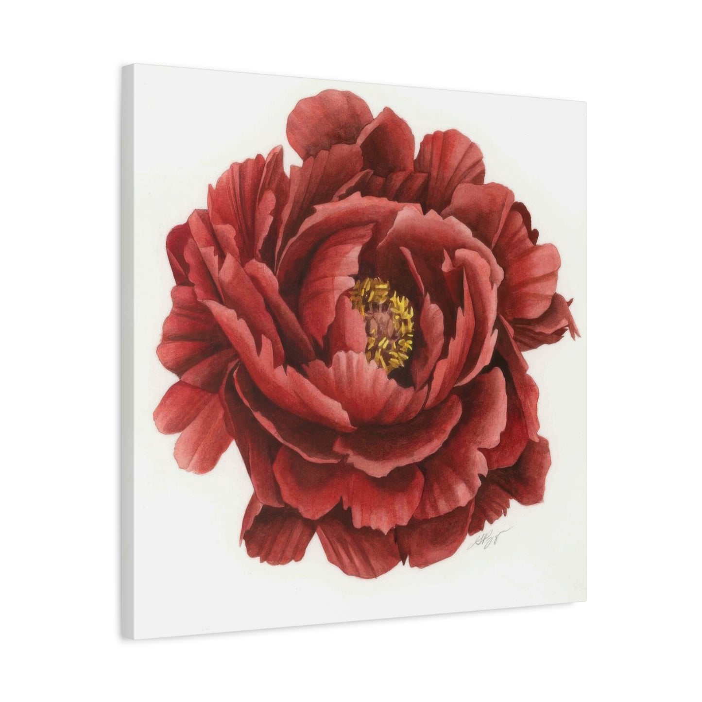 Grace Popp Red Flower Head Wall Art & Canvas Prints