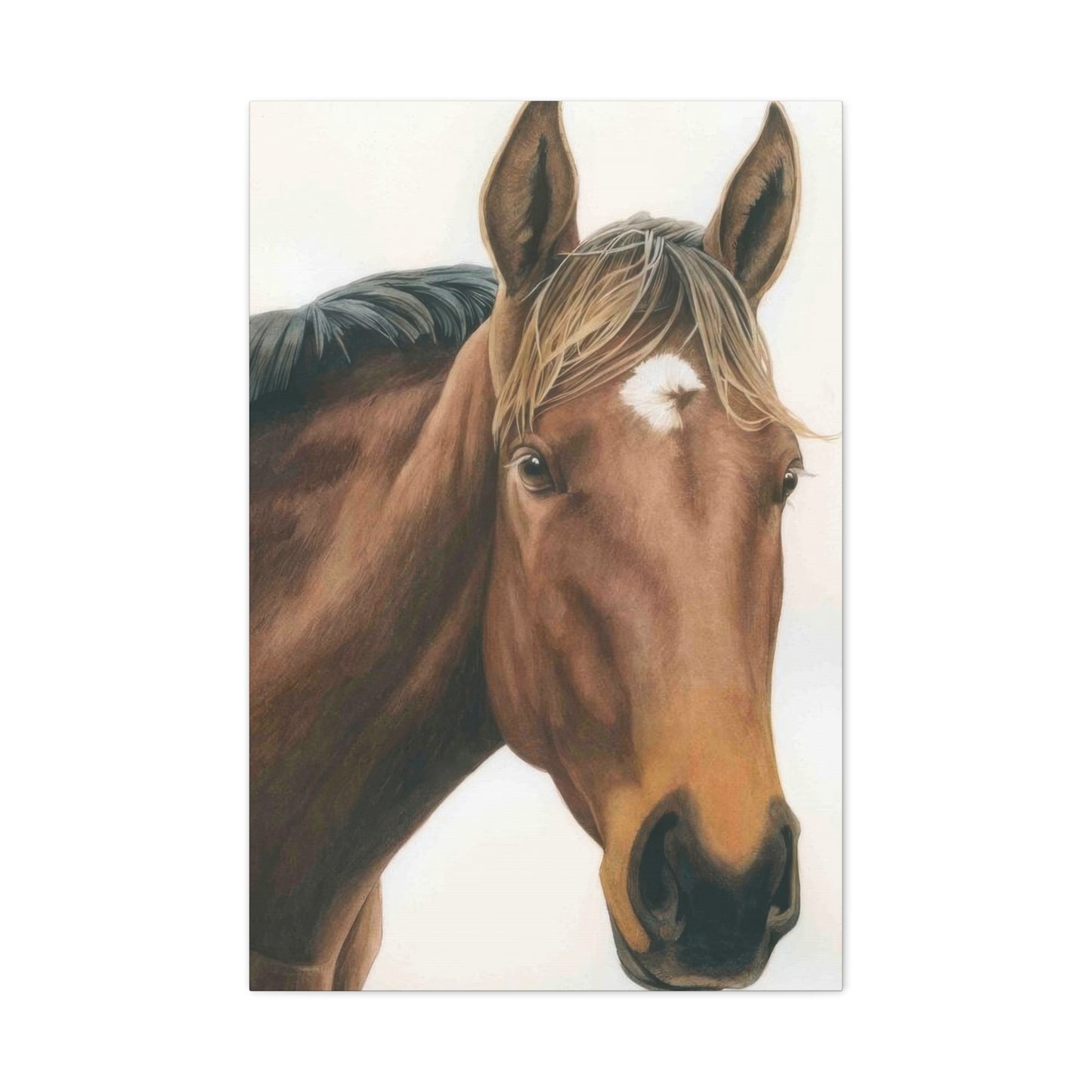 Grace Popp Maisie Horse Wall Art & Canvas Prints