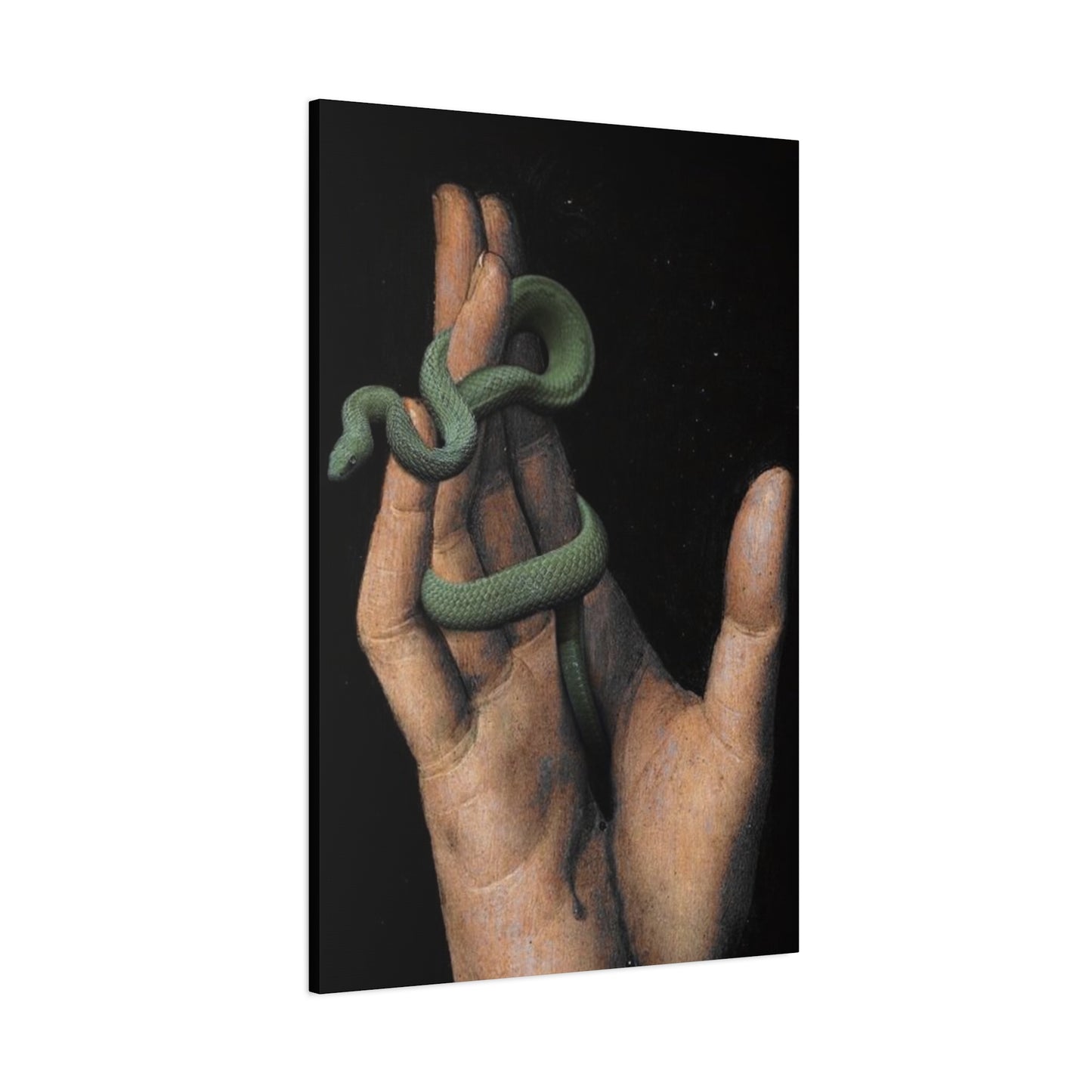 Snake On Hand Wall Art & Canvas Prints