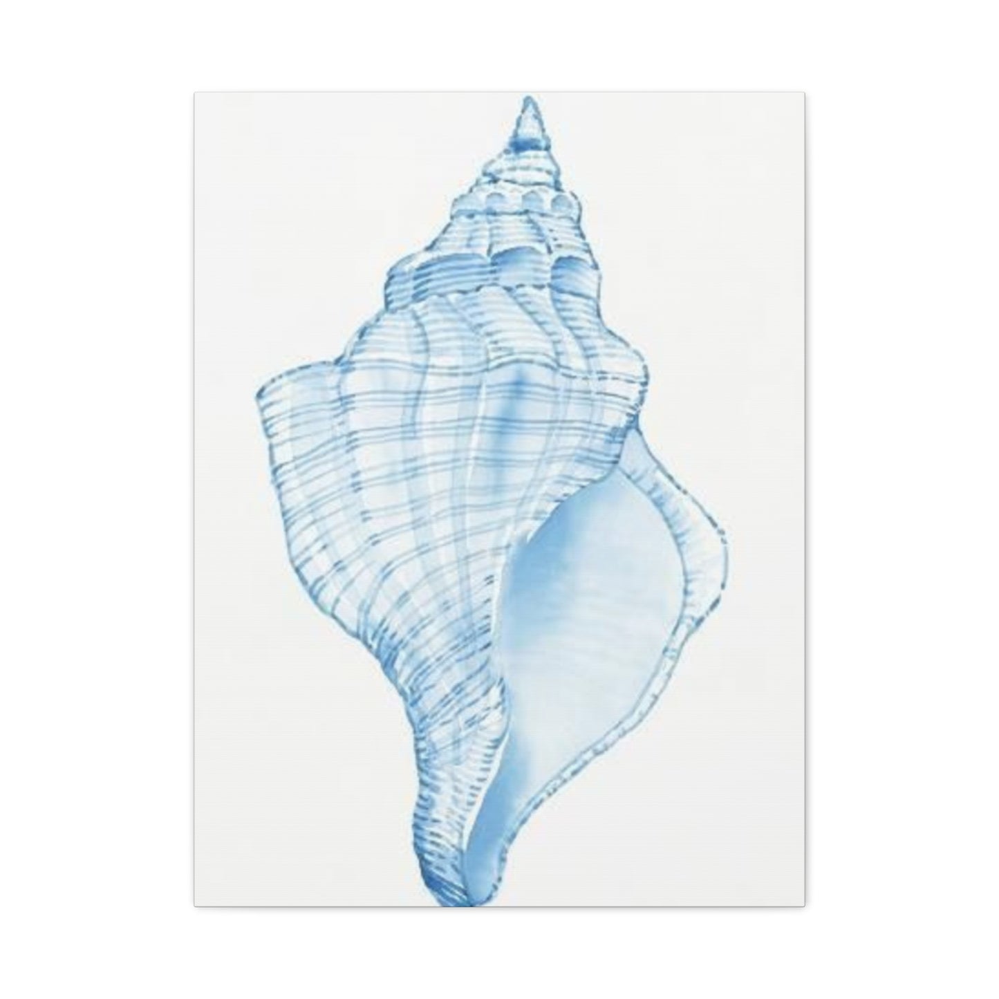 Blue Shell Drawing Wall Art & Canvas Prints