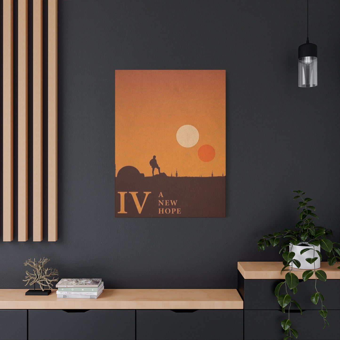 A New Hope Wall Art & Canvas Prints