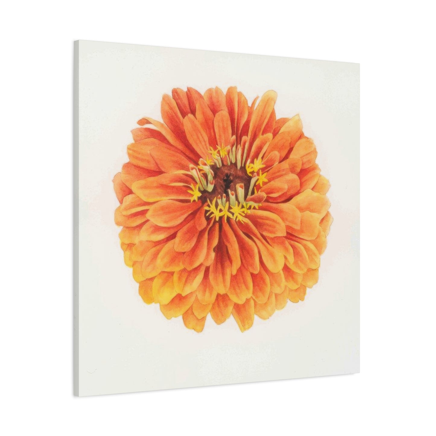 Grace Popp Orange Flower Head Wall Art & Canvas Prints