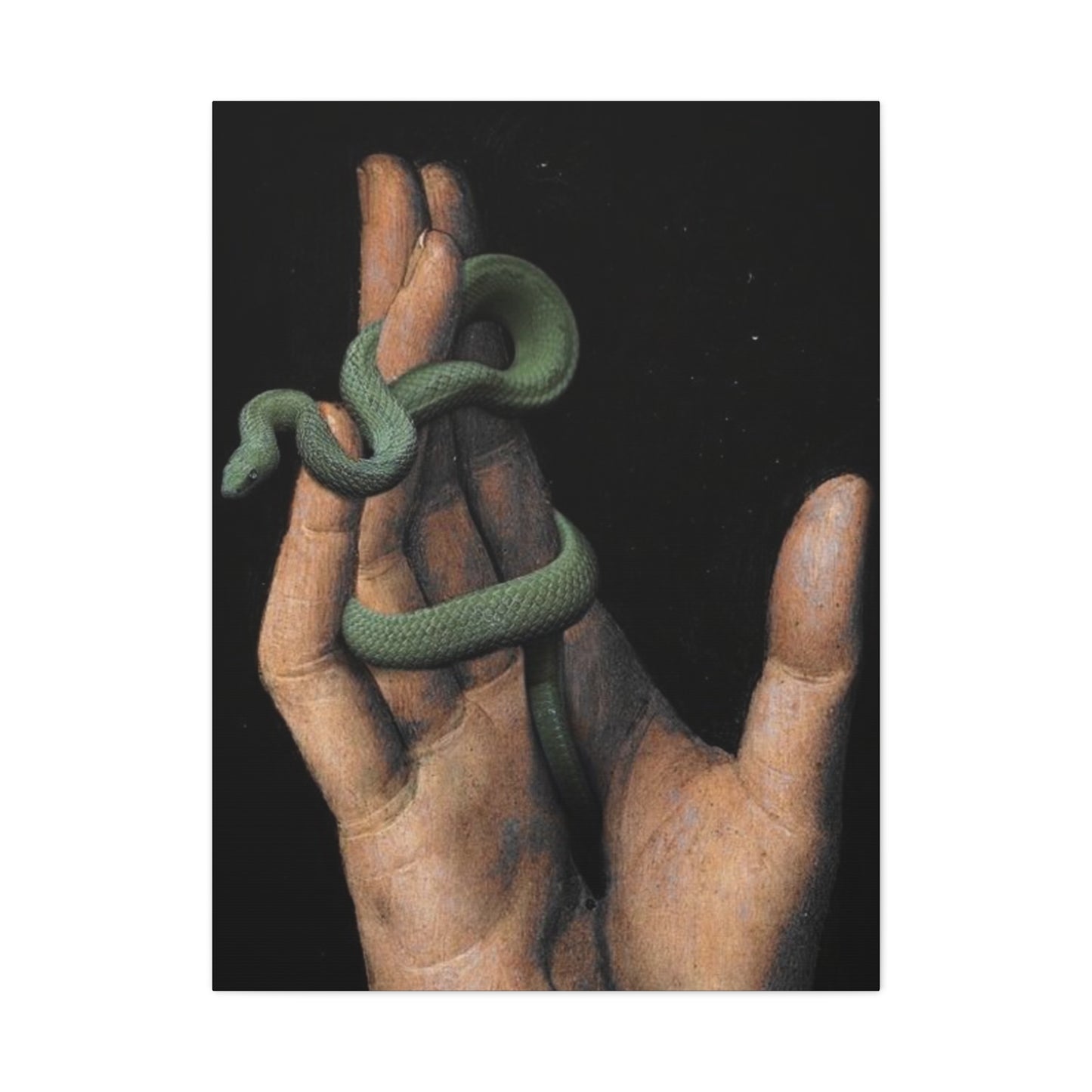 Snake On Hand Wall Art & Canvas Prints