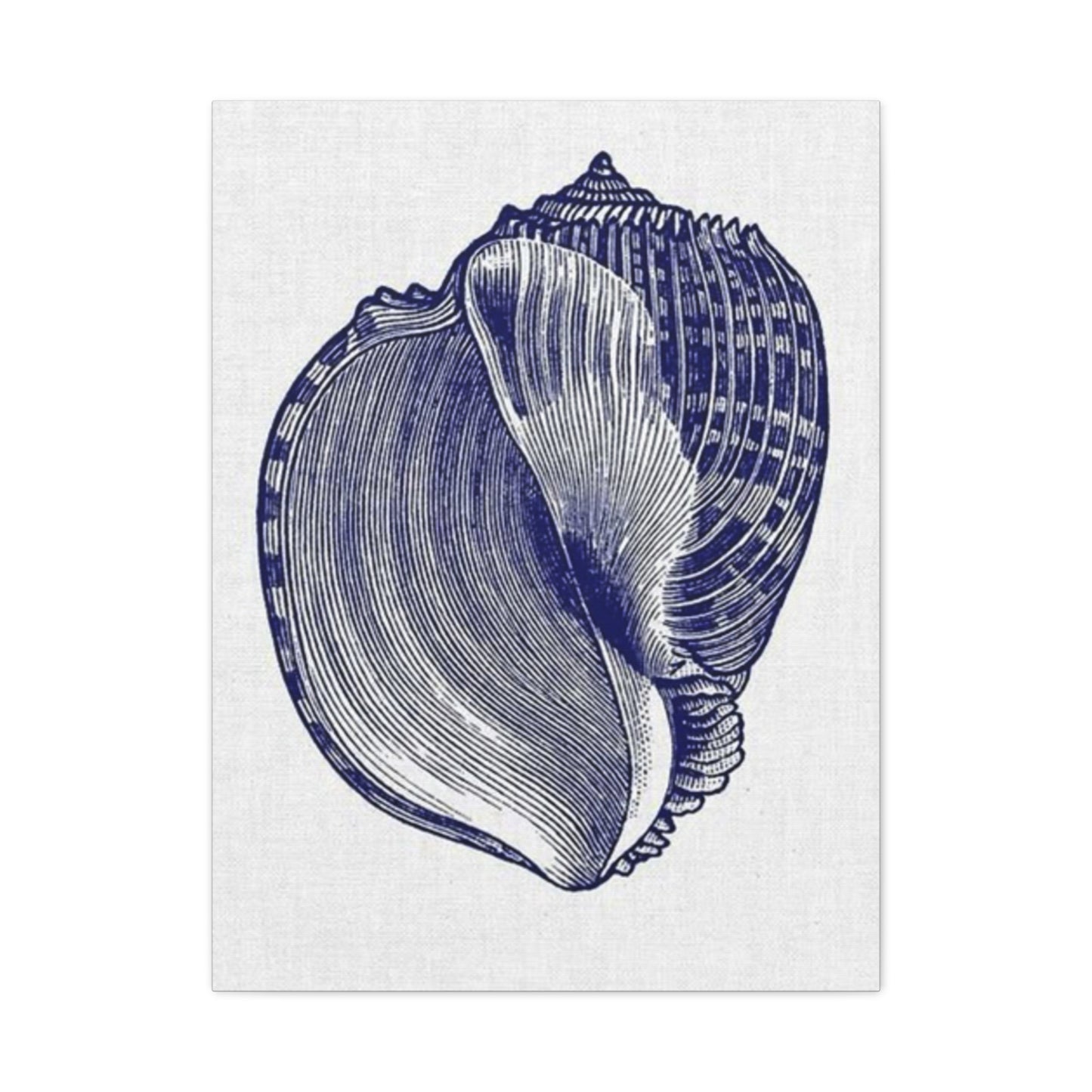 Beautiful Blue Shell Shape Drawing Wall Art & Canvas Prints