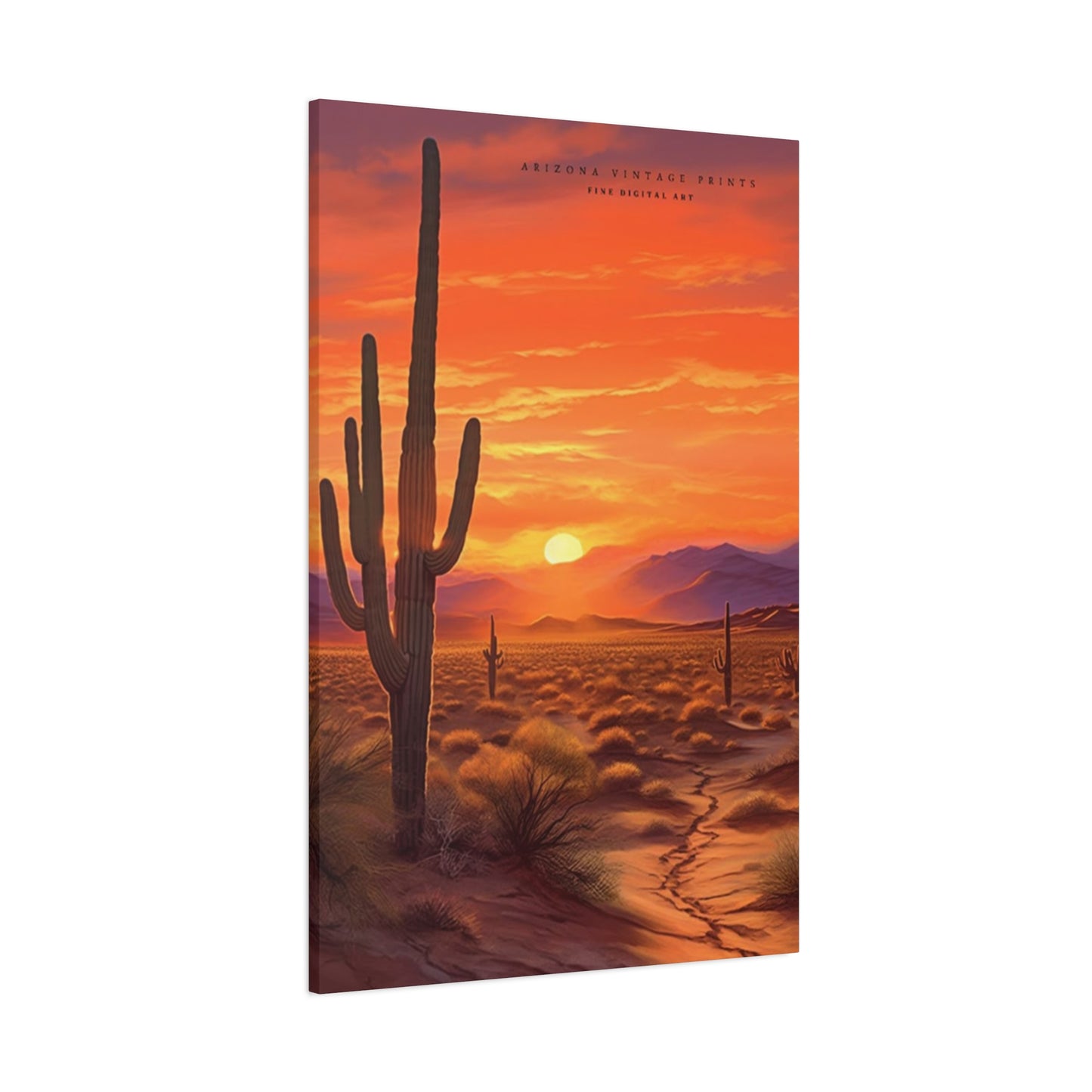 Abstract Arizona Cactus Sunset Wall Art & Canvas Prints