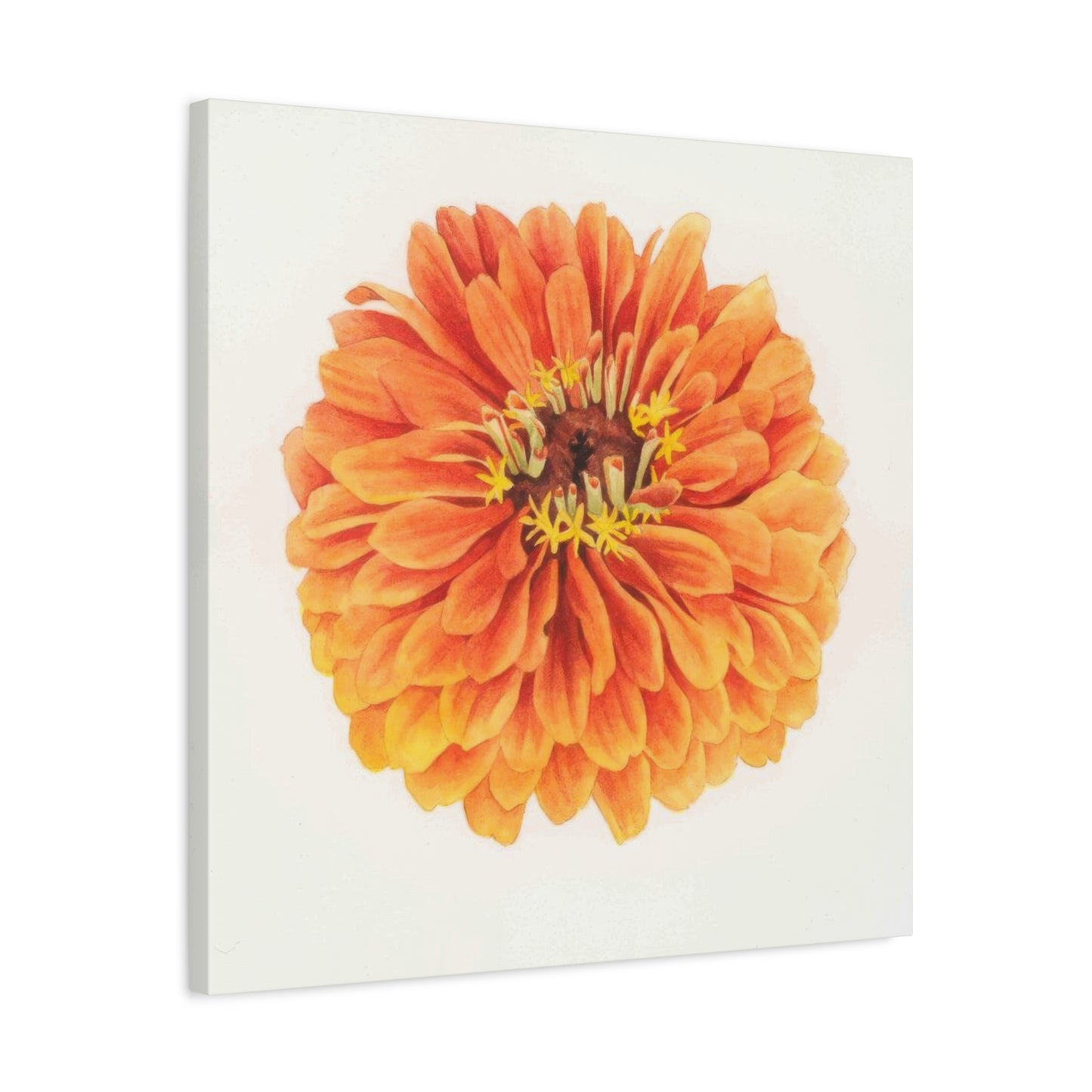 Grace Popp Orange Flower Head Wall Art & Canvas Prints