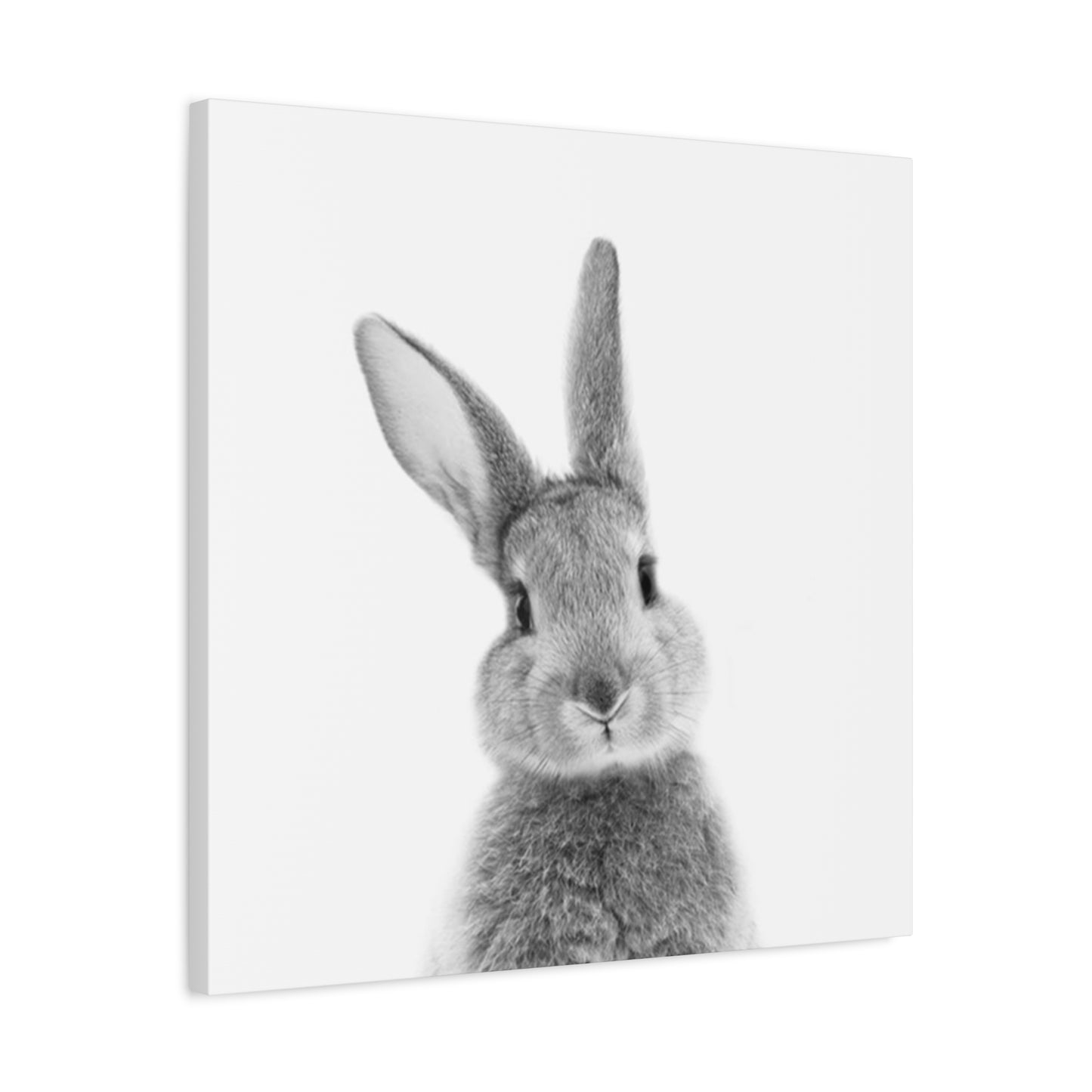 Black And White Rabbit Wall Art & Canvas Prints