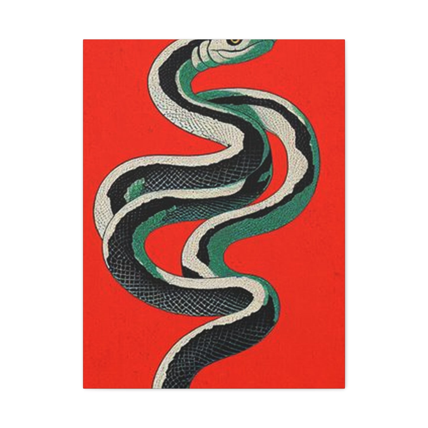 Snake's Wall Art & Canvas Prints