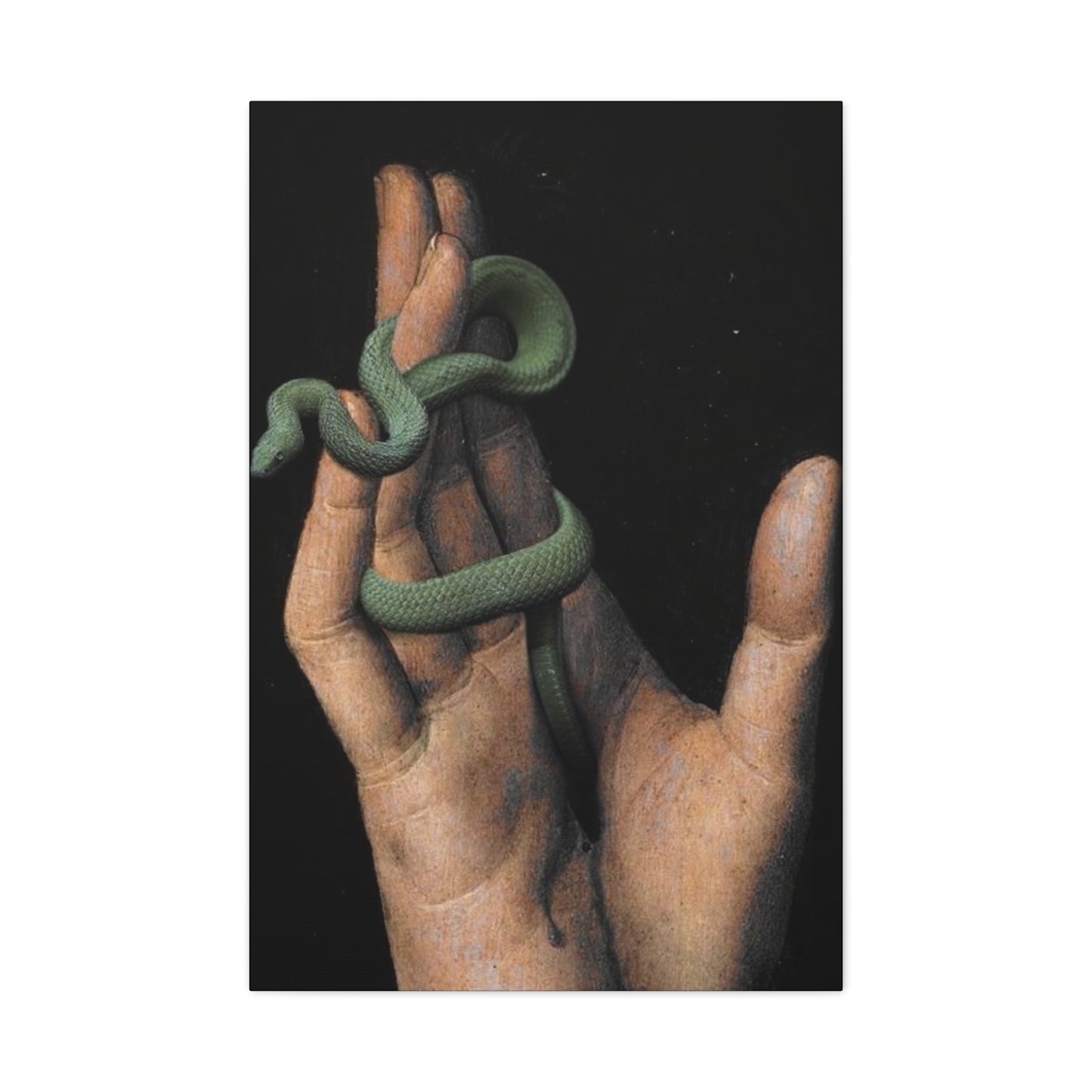 Snake On Hand Wall Art & Canvas Prints