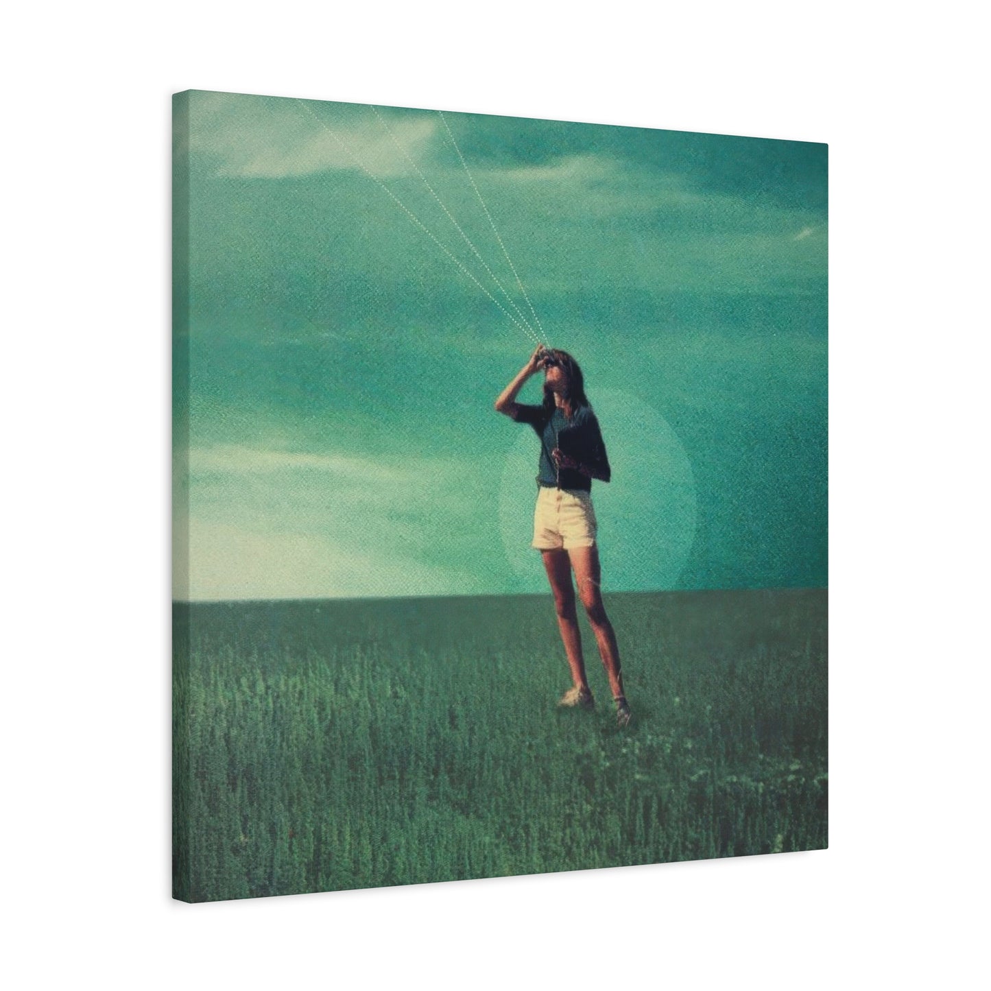 Frank Moth Green Grassland Wall Art & Canvas Prints