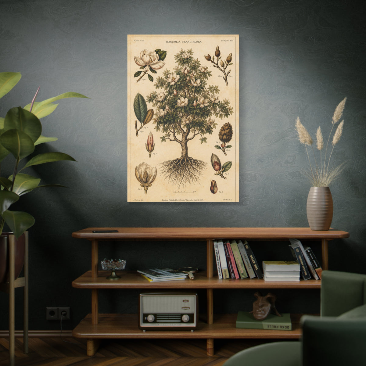 Vintage Magnolia Botanical Study Trees Wall Art & Canvas Print