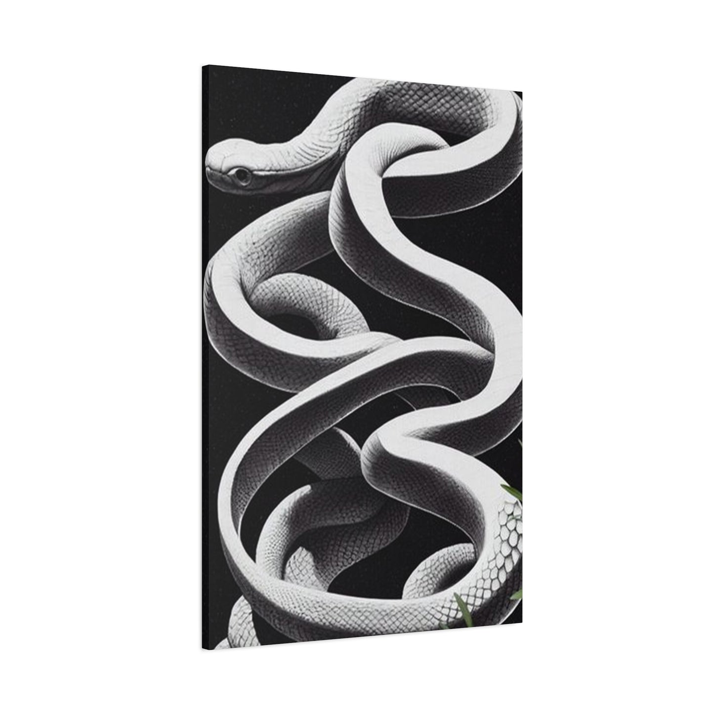 White Snake On Black Poster Wall Art & Canvas Prints