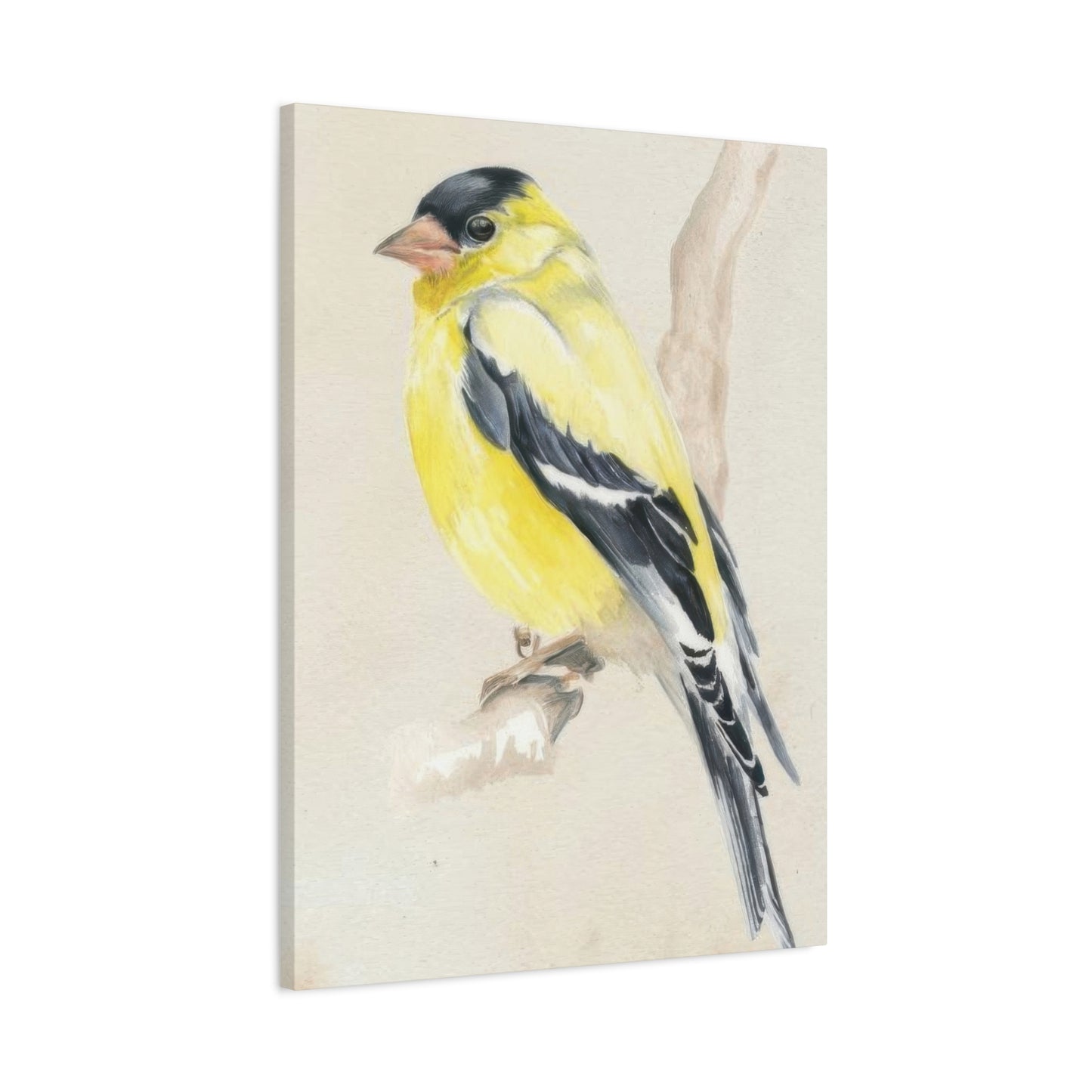 Jennifer Paxton Parker Little Bird On Branch 2 Wall Art & Canvas Prints