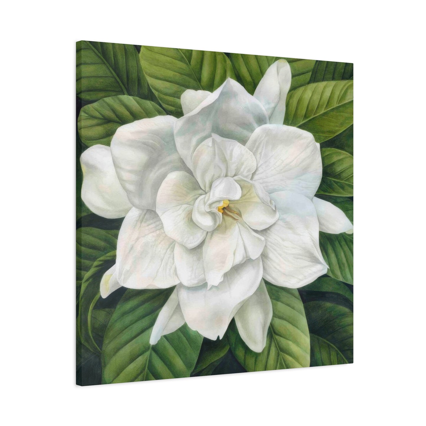 Grace Popp White Flower Head Wall Art & Canvas Prints