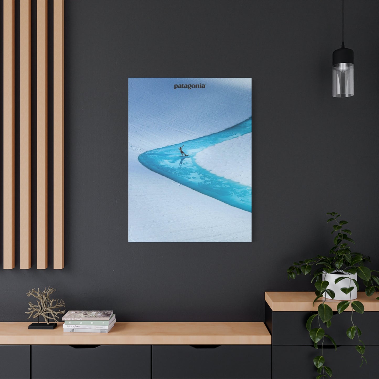 Patagonia River Skiing Wall Art & Canvas Prints